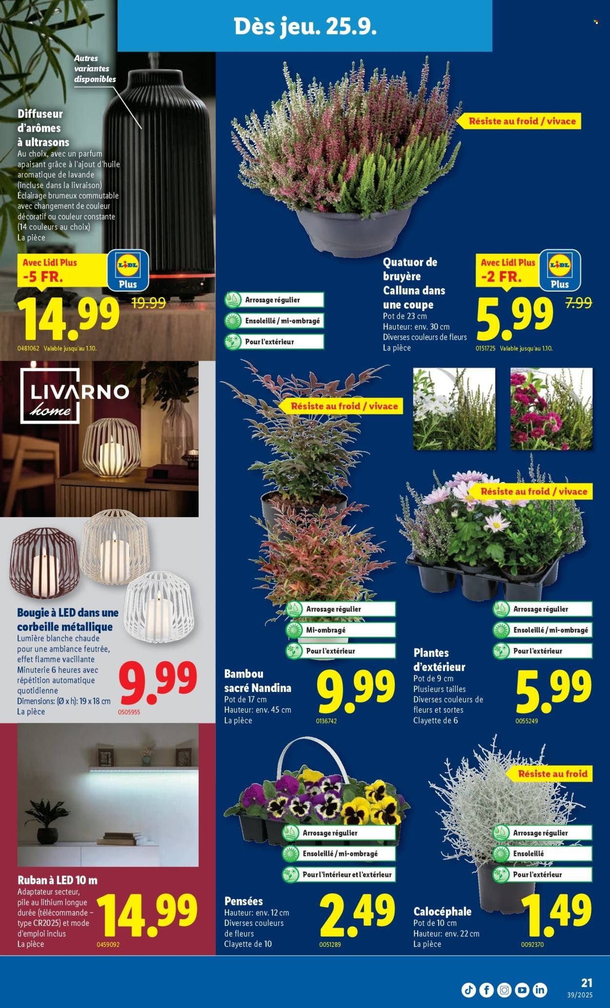 LIDL Prospekt - SEM 39 (2025-09-25 - 2025-10-01)