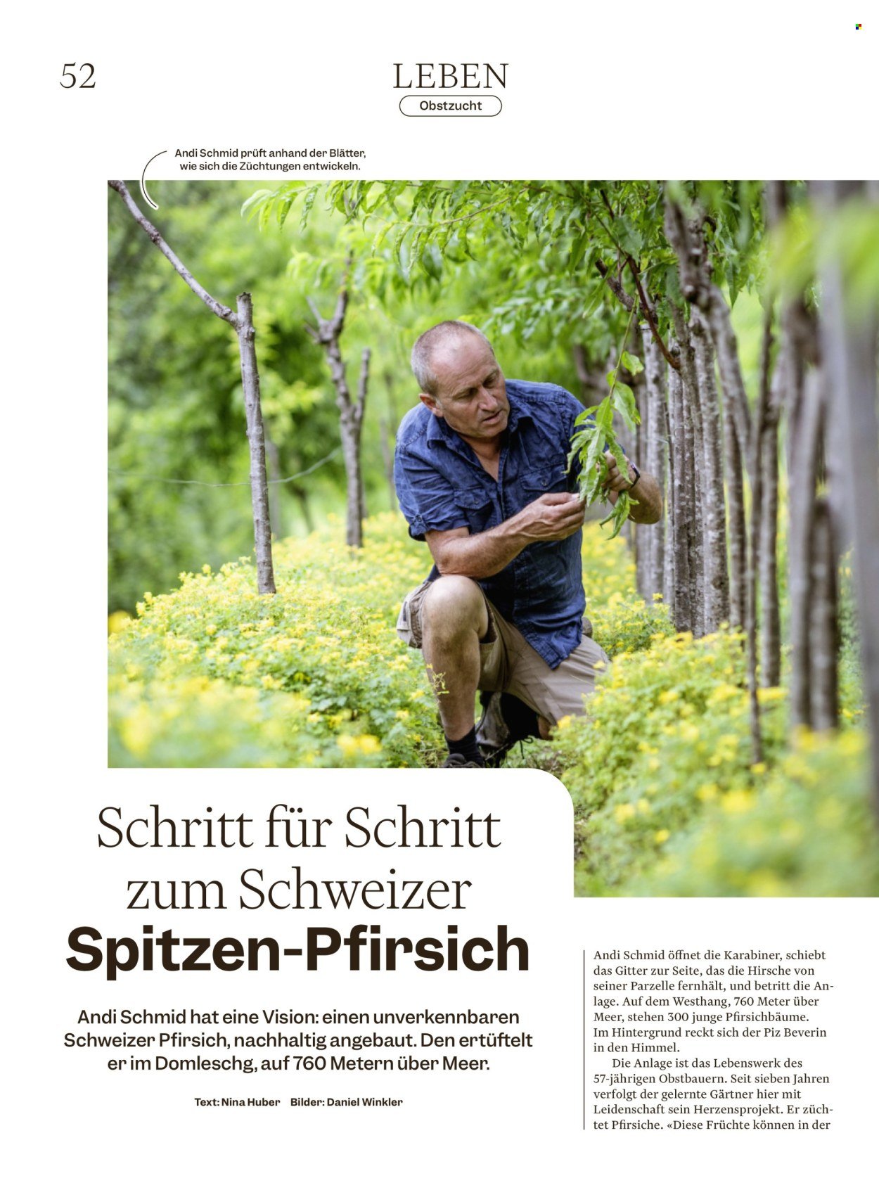 MIGROS Prospekt - Vom 12.8.2025 (2025-08-12 - 2025-08-18)