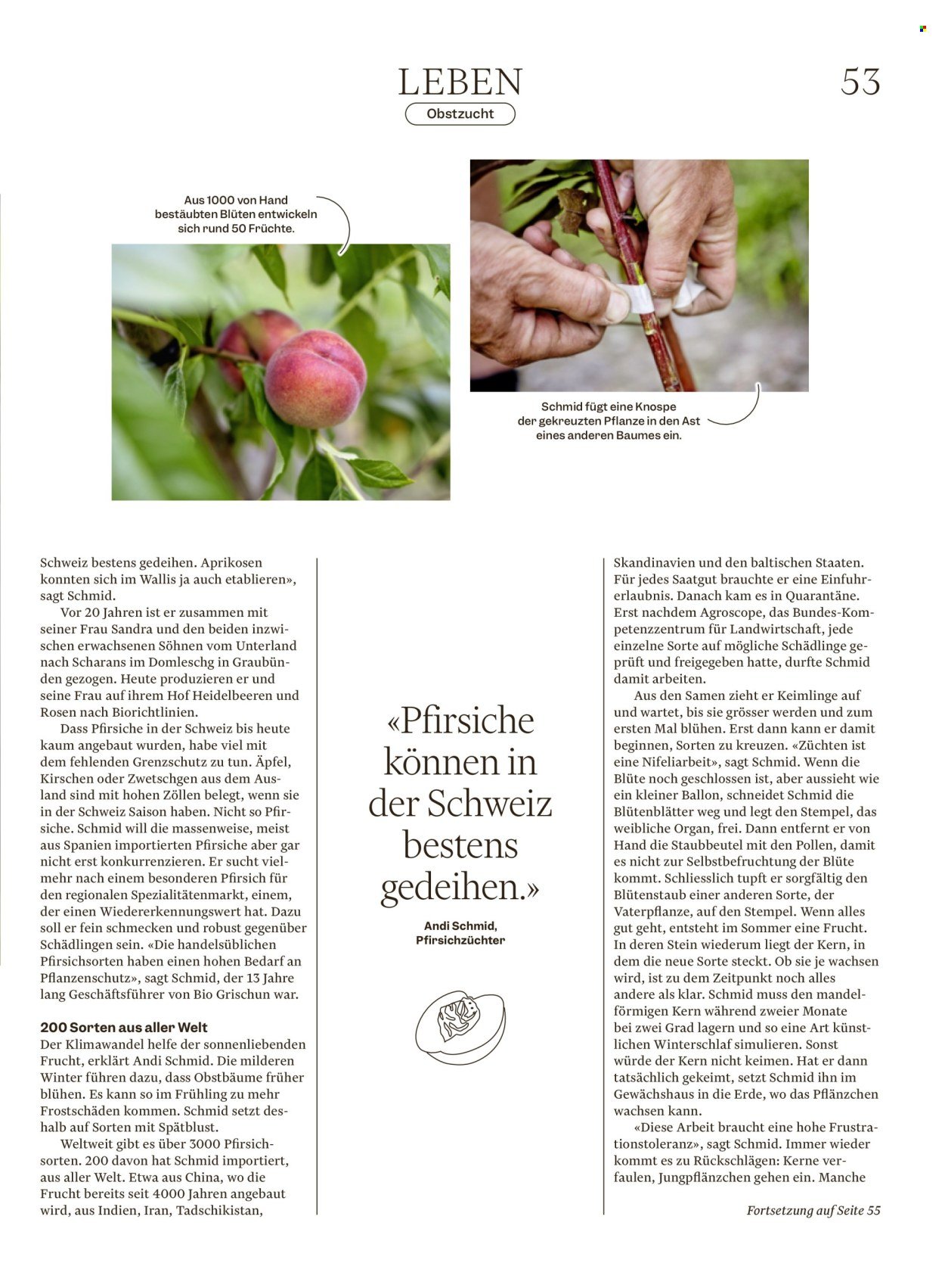 MIGROS Prospekt - Vom 12.8.2025 (2025-08-12 - 2025-08-18)