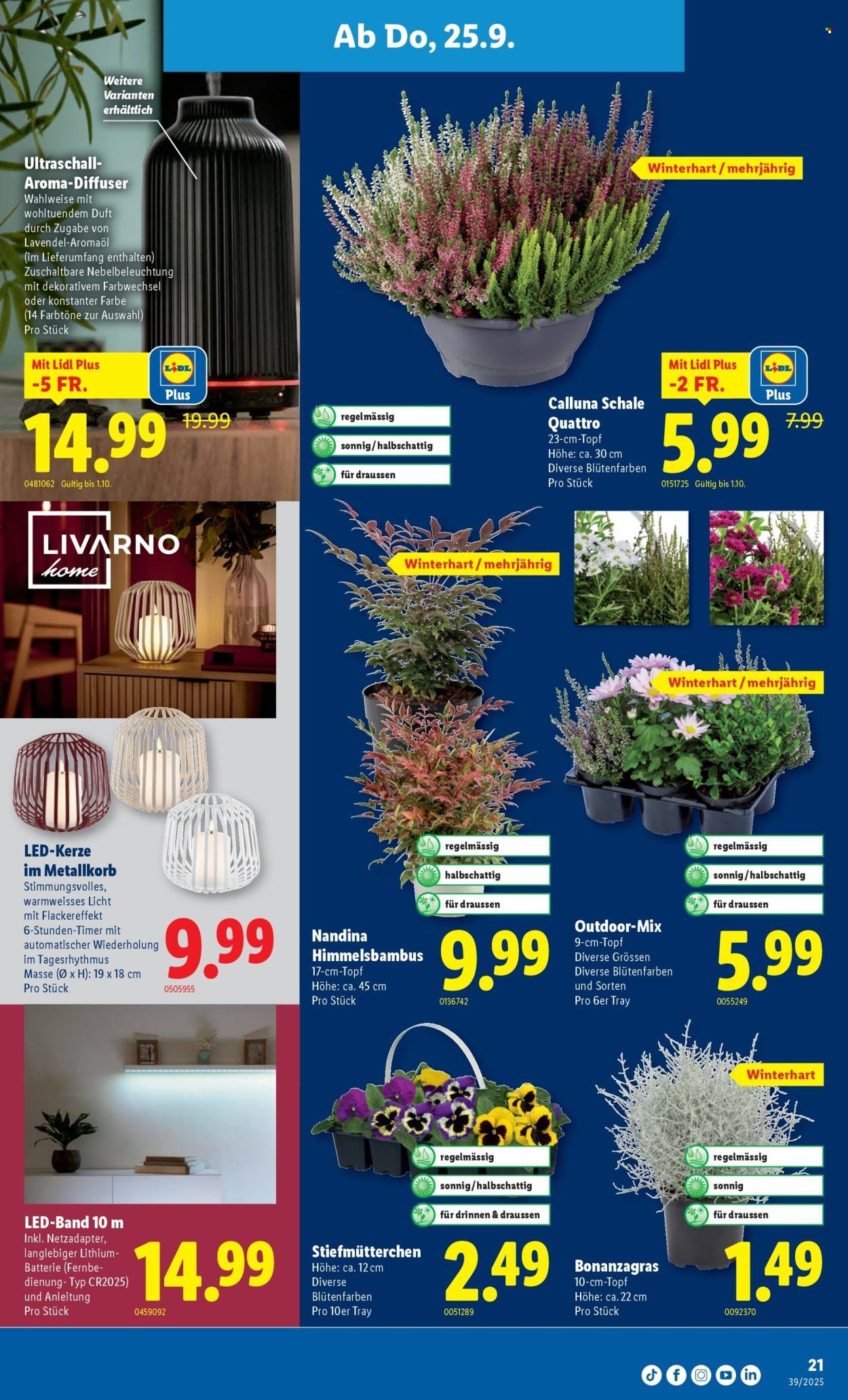 LIDL Prospekt - KW 39 (2025-09-25 - 2025-10-01)