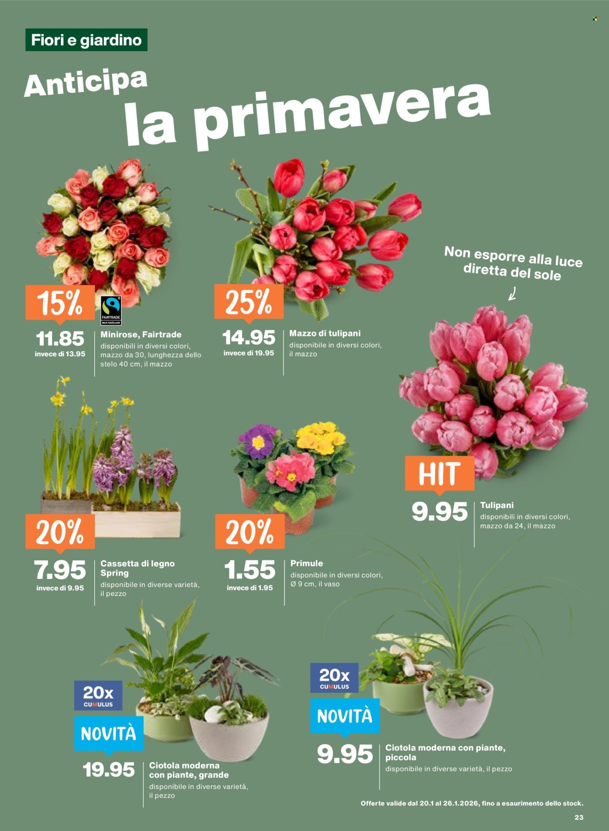 MIGROS Prospekt - Vom 20.1.2026 (2026-01-20 - 2026-01-26) | 23