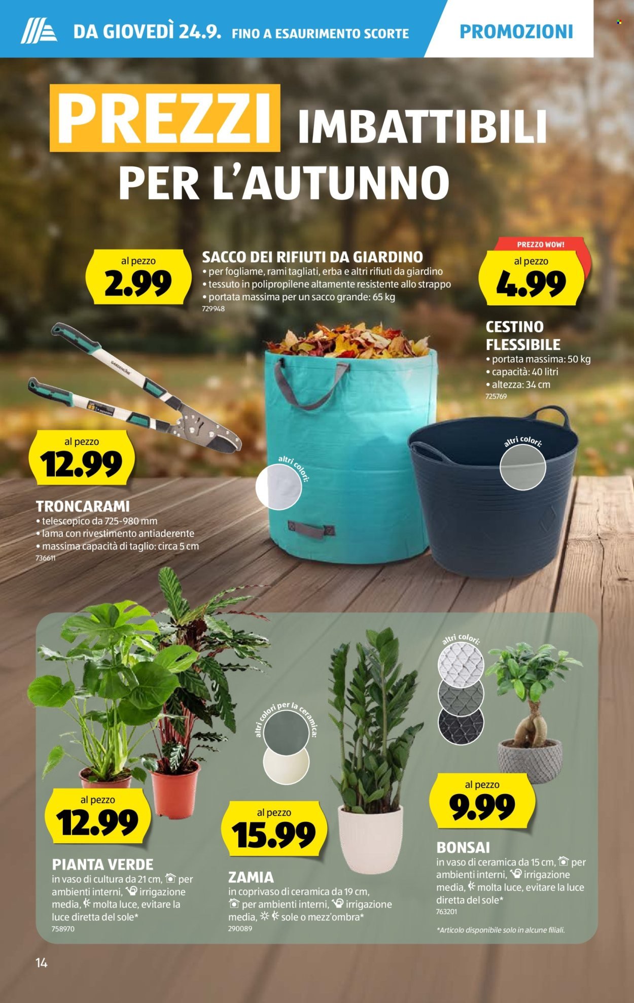 ALDI Prospekt - Vom 24.9.2026