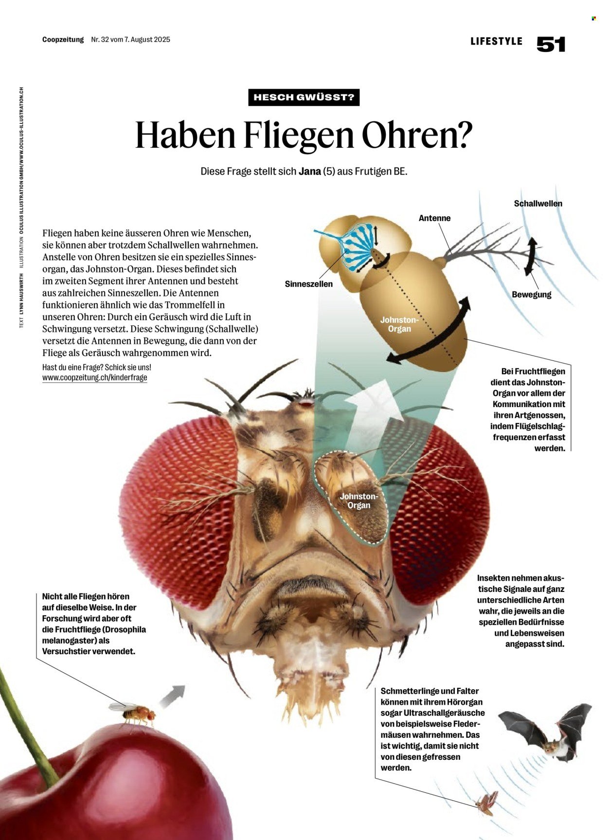 COOP Prospekt - Coopzeitung (2025-08-07 - 2025-08-13)