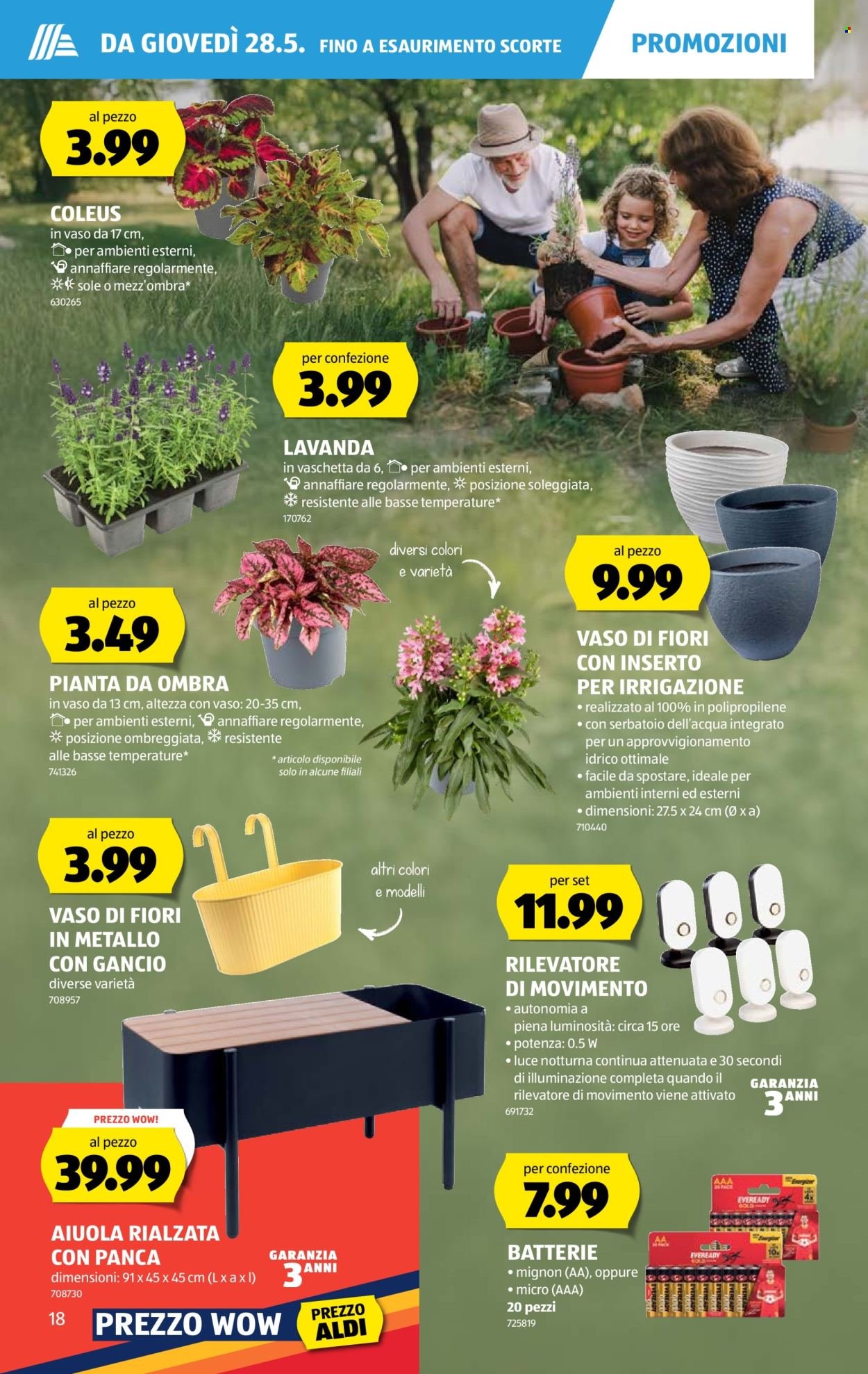 ALDI Prospekt - Vom 28.5.2026 (2026-05-28 - 2026-06-03)