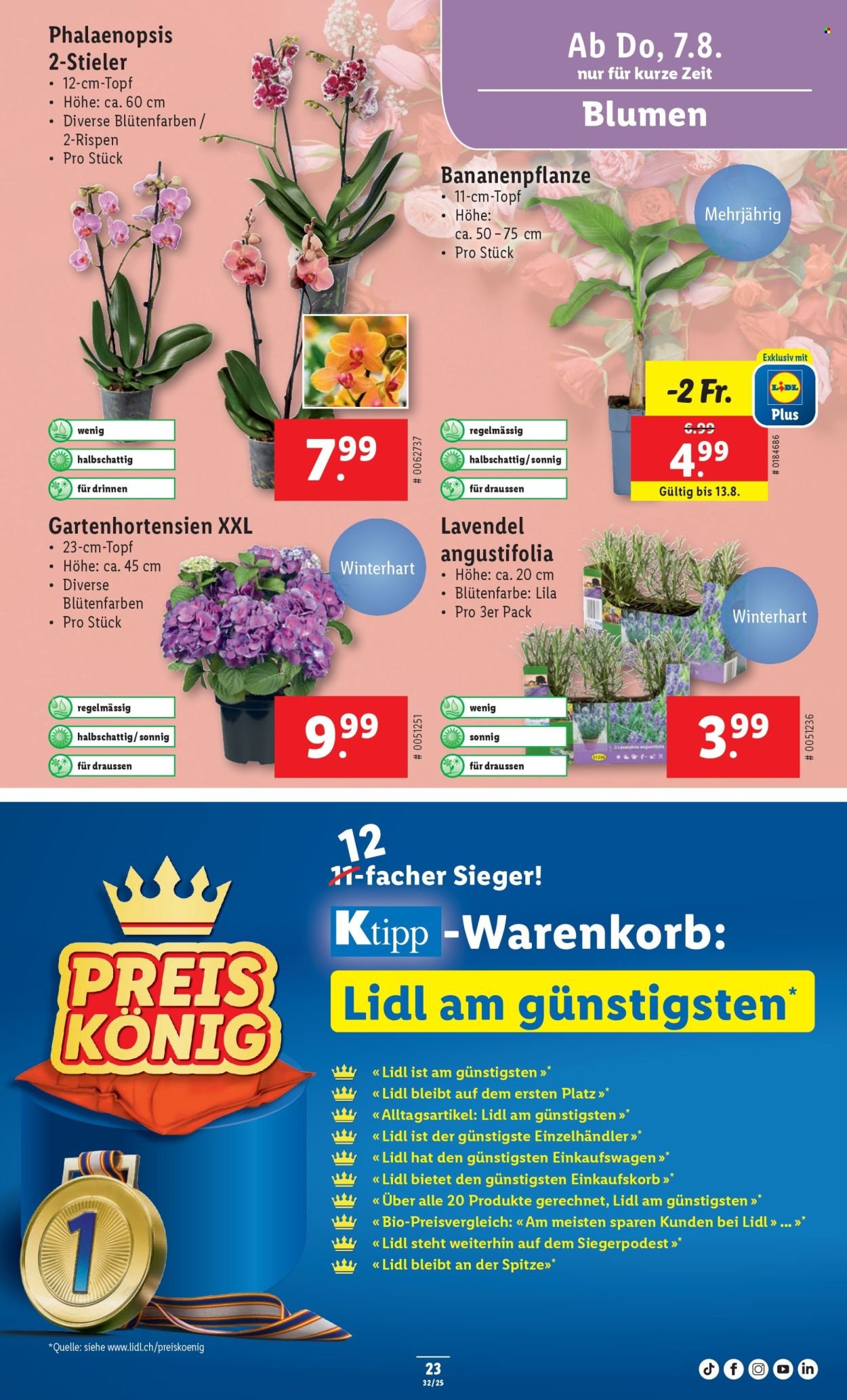LIDL Prospekt - KW 32 (2025-08-07 - 2025-08-13)