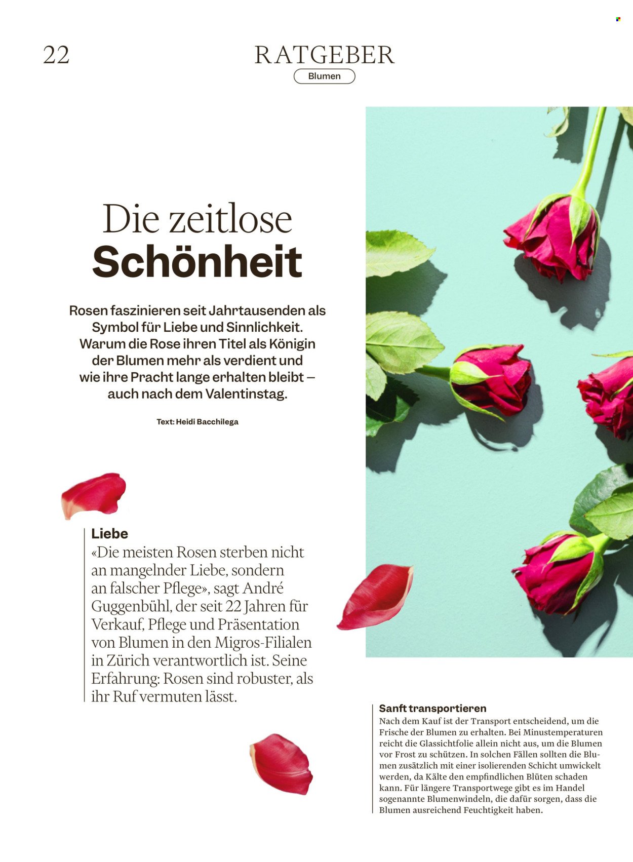 MIGROS Prospekt - Vom 4.2.2026 (2026-02-04 - 2026-02-12)