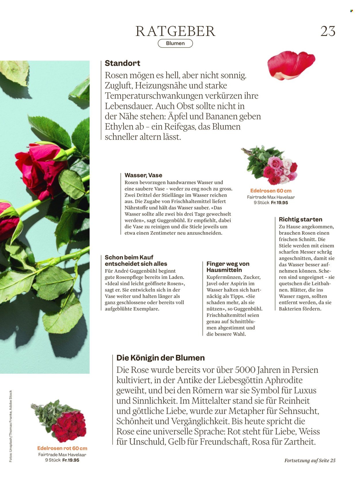 MIGROS Prospekt - Vom 4.2.2026 (2026-02-04 - 2026-02-12)