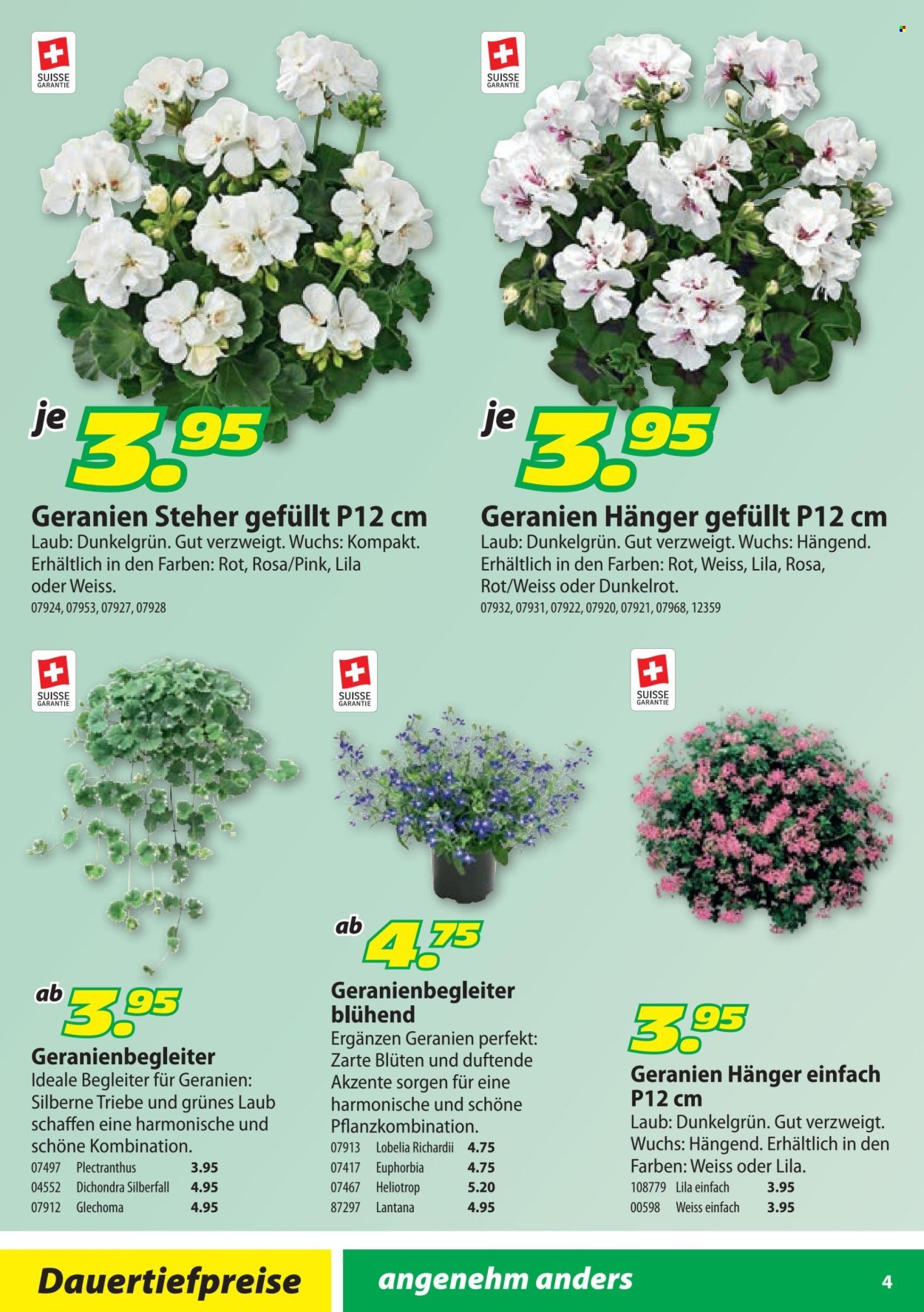 LANDI Prospekt - Geranien