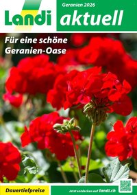 LANDI Prospekt - Geranien