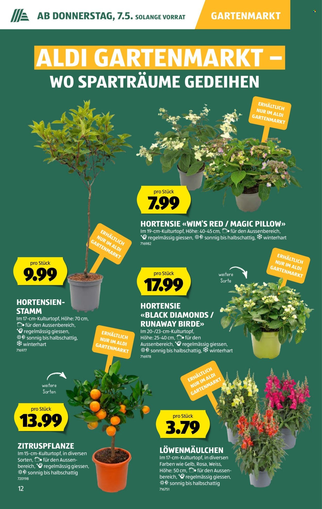 ALDI Prospekt - Vom 7.5.2026 (2026-05-07 - 2026-05-13)