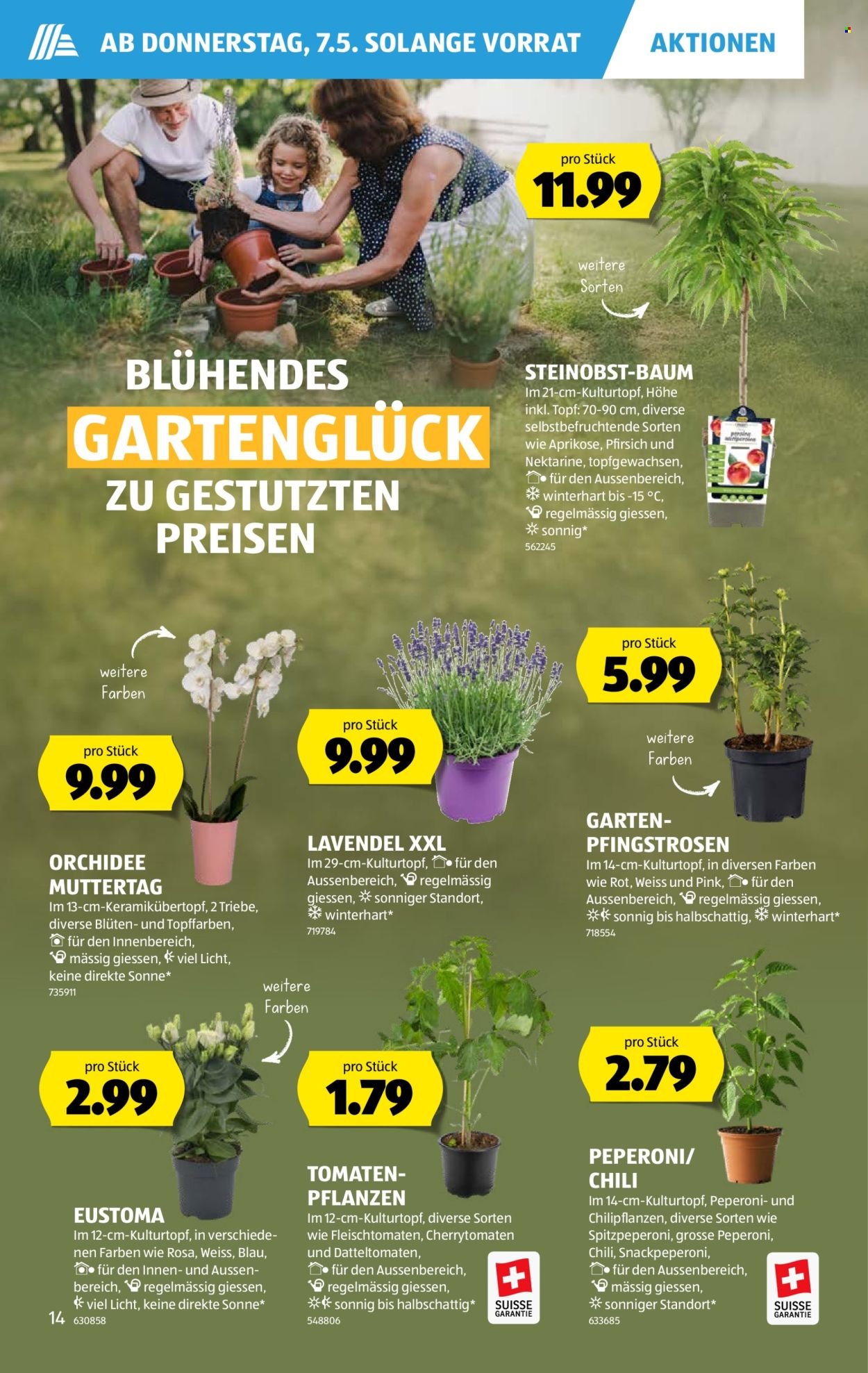ALDI Prospekt - Vom 7.5.2026 (2026-05-07 - 2026-05-13)