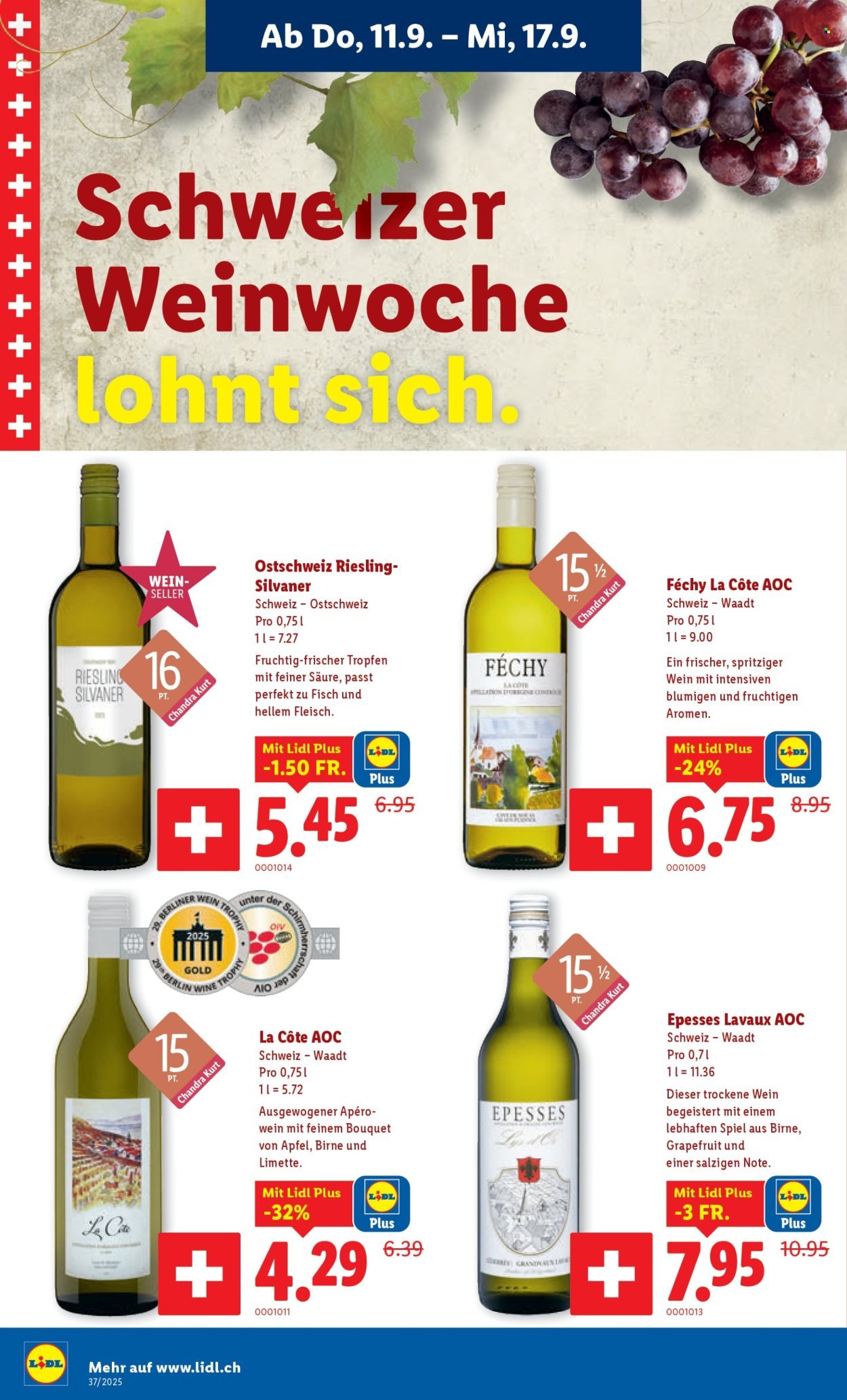 LIDL Prospekt - KW 37 (2025-09-11 - 2025-09-17)