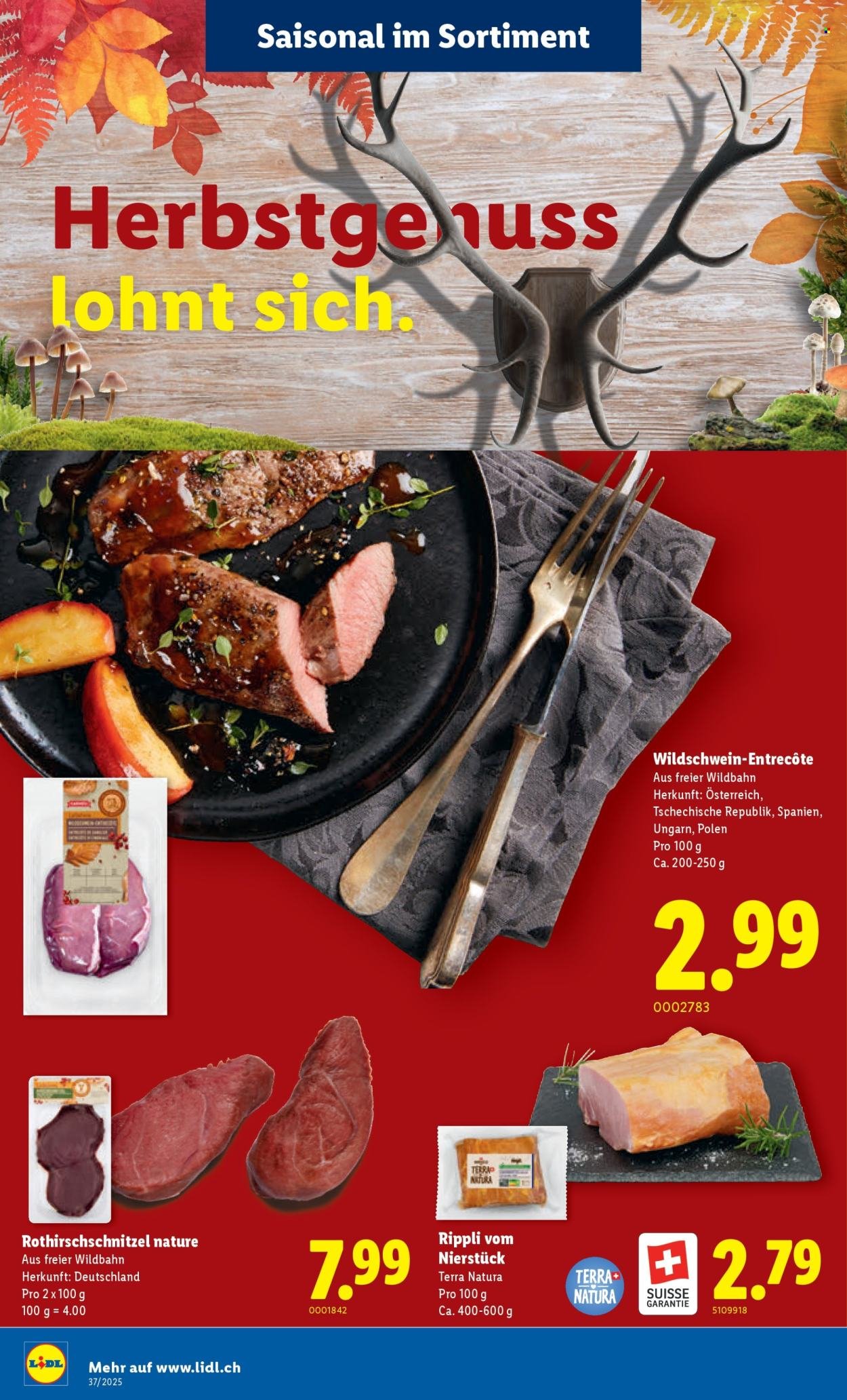LIDL Prospekt - KW 37 (2025-09-11 - 2025-09-17)