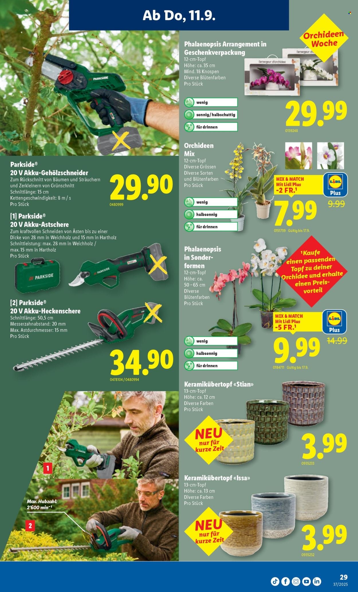 LIDL Prospekt - KW 37 (2025-09-11 - 2025-09-17)