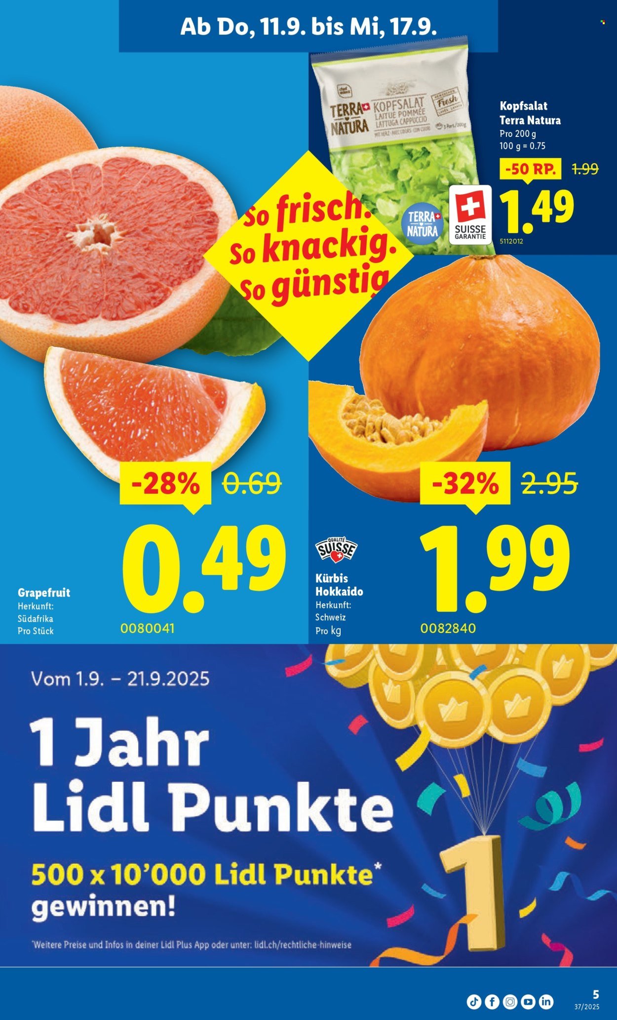 LIDL Prospekt - KW 37 (2025-09-11 - 2025-09-17)