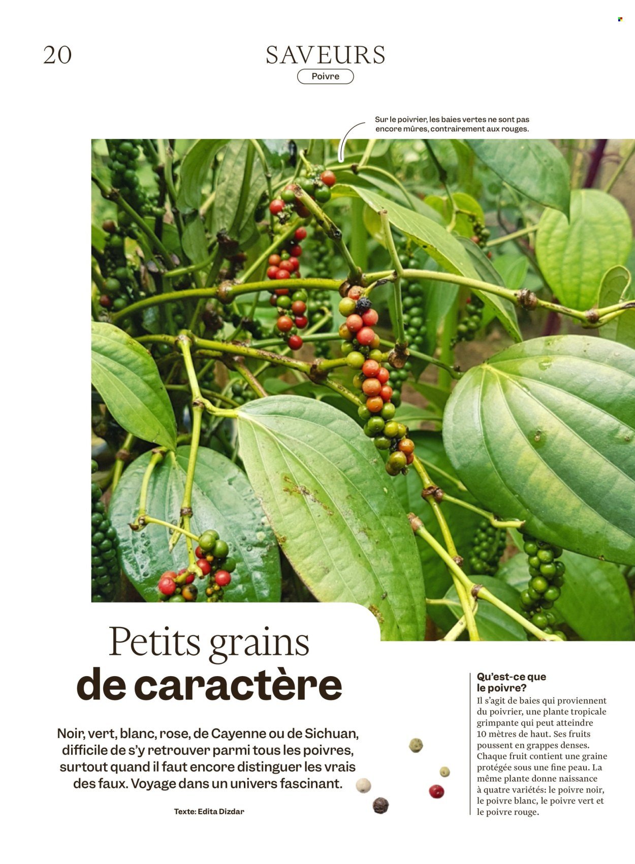 MIGROS Prospekt - Vom 30.12.2025 (2025-12-30 - 2026-01-05)