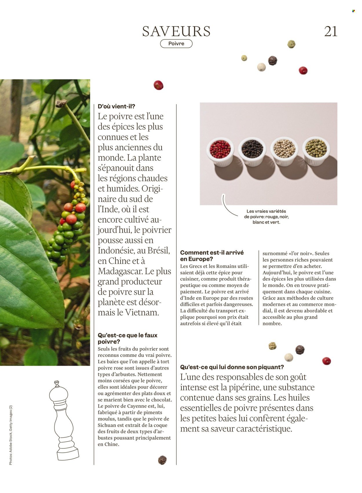 MIGROS Prospekt - Vom 30.12.2025 (2025-12-30 - 2026-01-05)