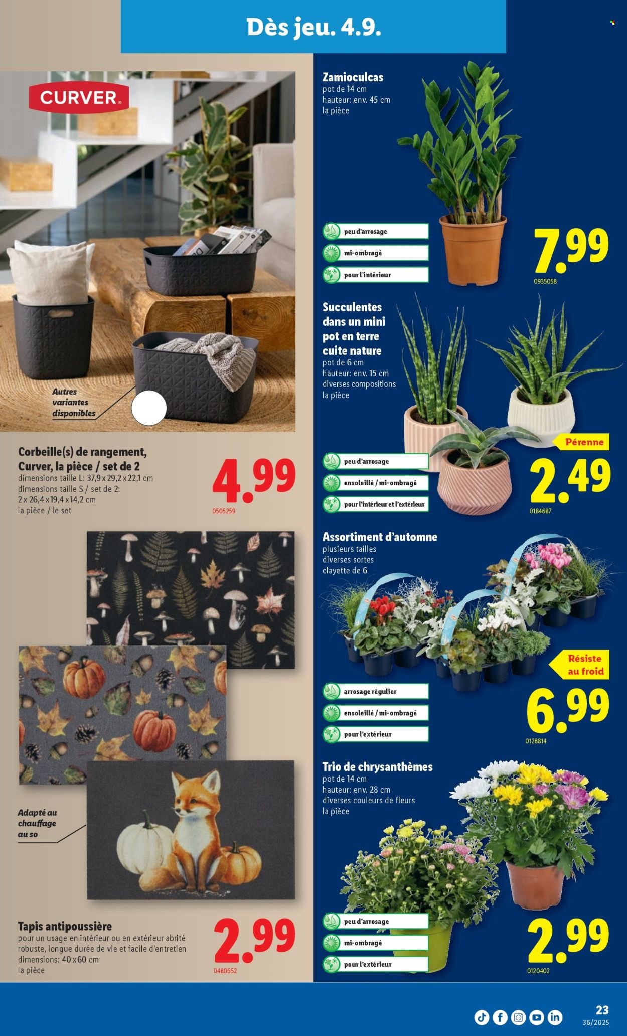 LIDL Prospekt - SEM 36 (2025-09-04 - 2025-09-10)