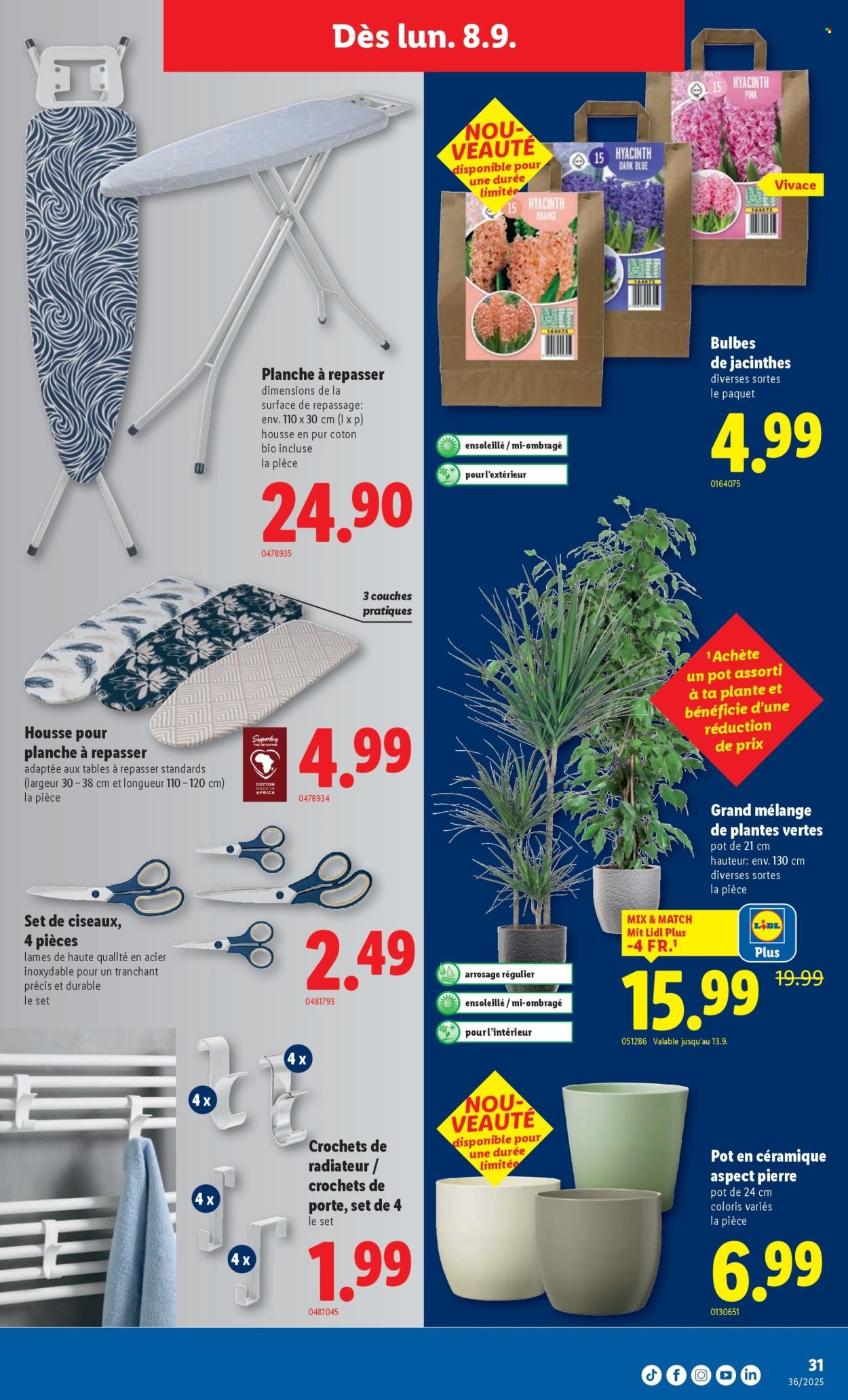 LIDL Prospekt - SEM 36 (2025-09-04 - 2025-09-10)