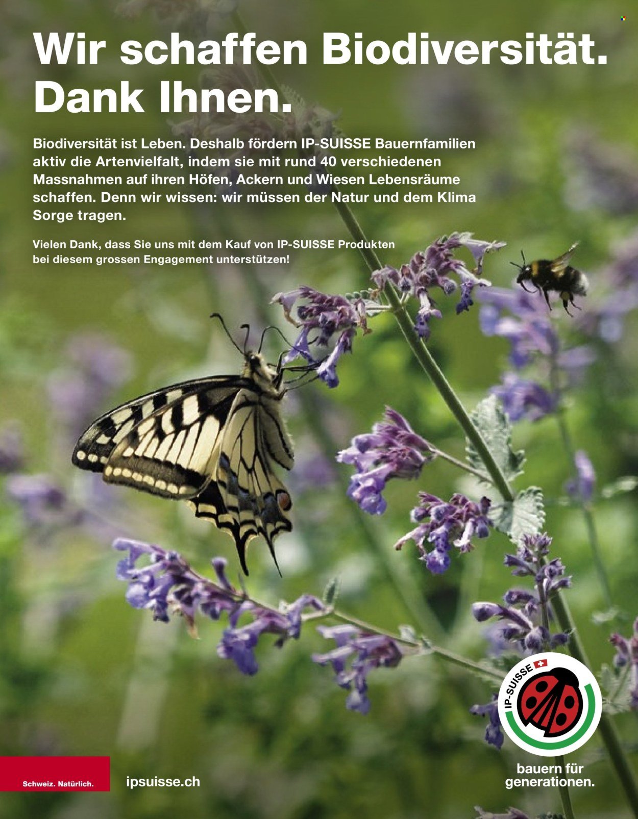 VOLG Prospekt - Vom 1.9.2025 (2025-09-01 - 2025-09-30)