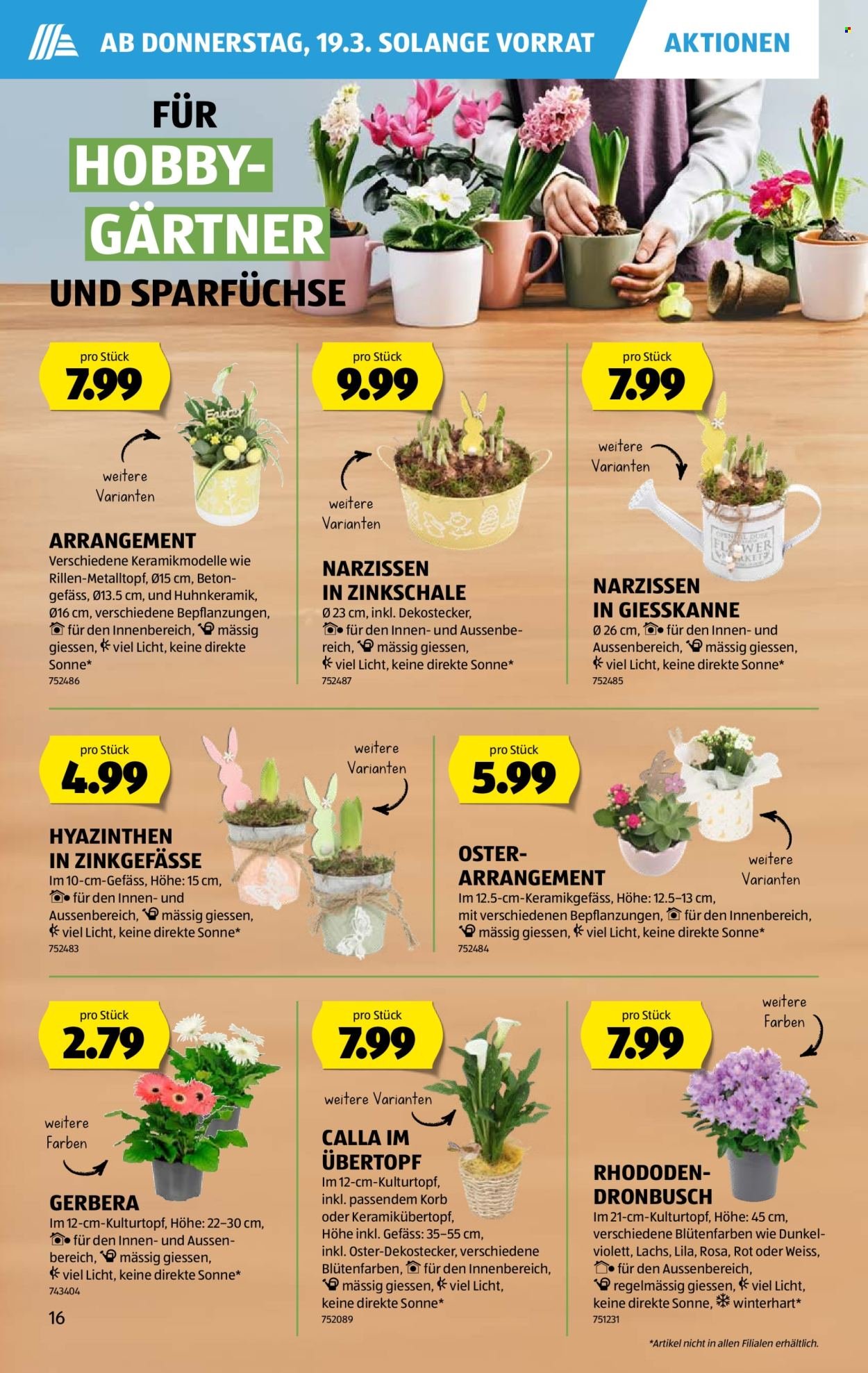 ALDI Prospekt - Vom 19.3.2026 (2026-03-19 - 2026-03-25)