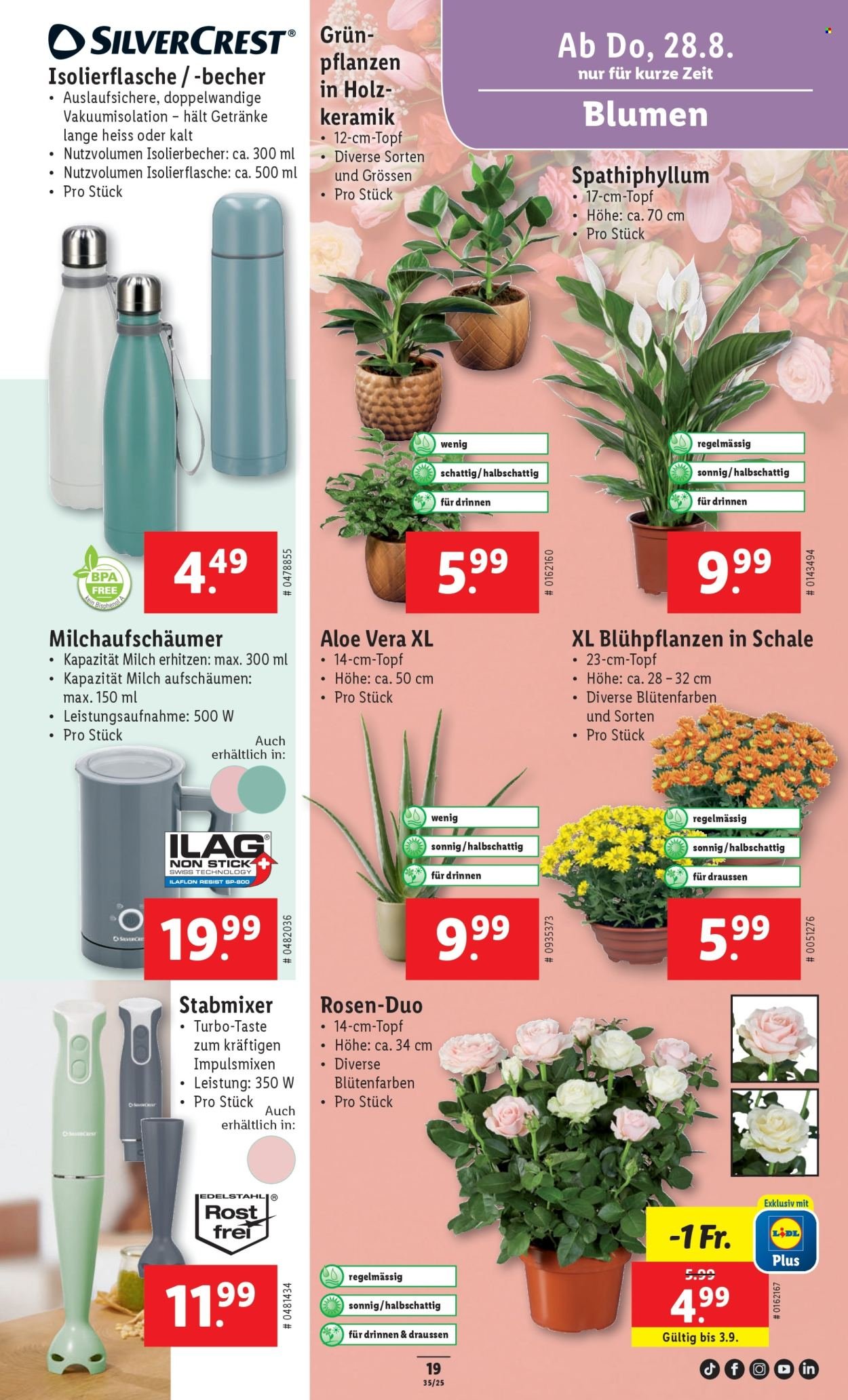 LIDL Prospekt - KW 35 (2025-08-28 - 2025-09-03)
