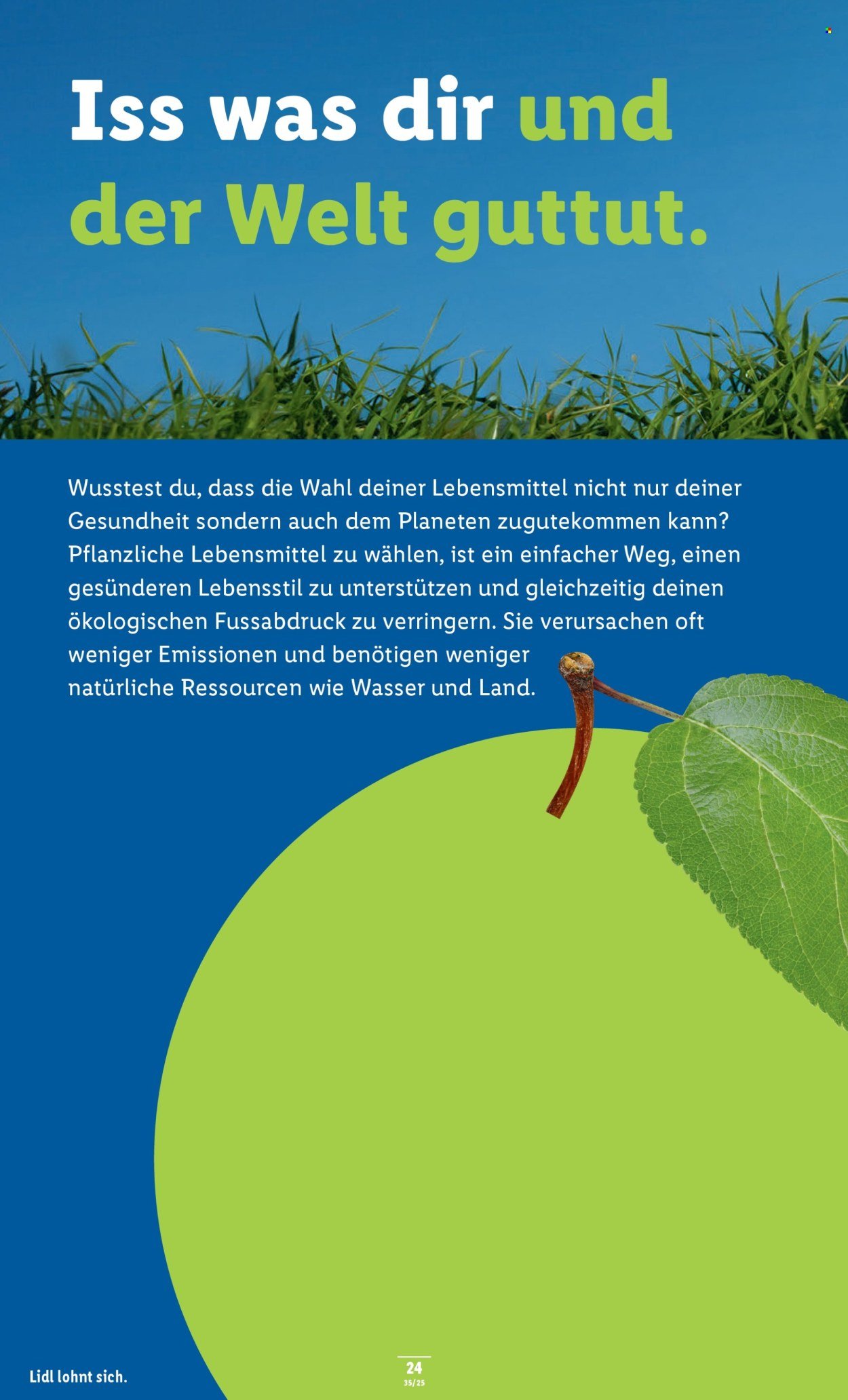 LIDL Prospekt - KW 35 (2025-08-28 - 2025-09-03)