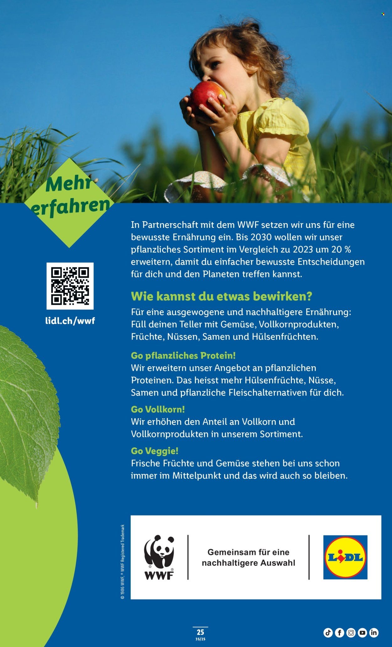 LIDL Prospekt - KW 35 (2025-08-28 - 2025-09-03)