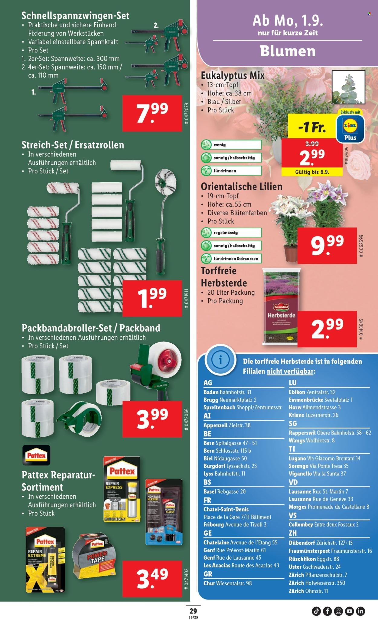 LIDL Prospekt - KW 35 (2025-08-28 - 2025-09-03)