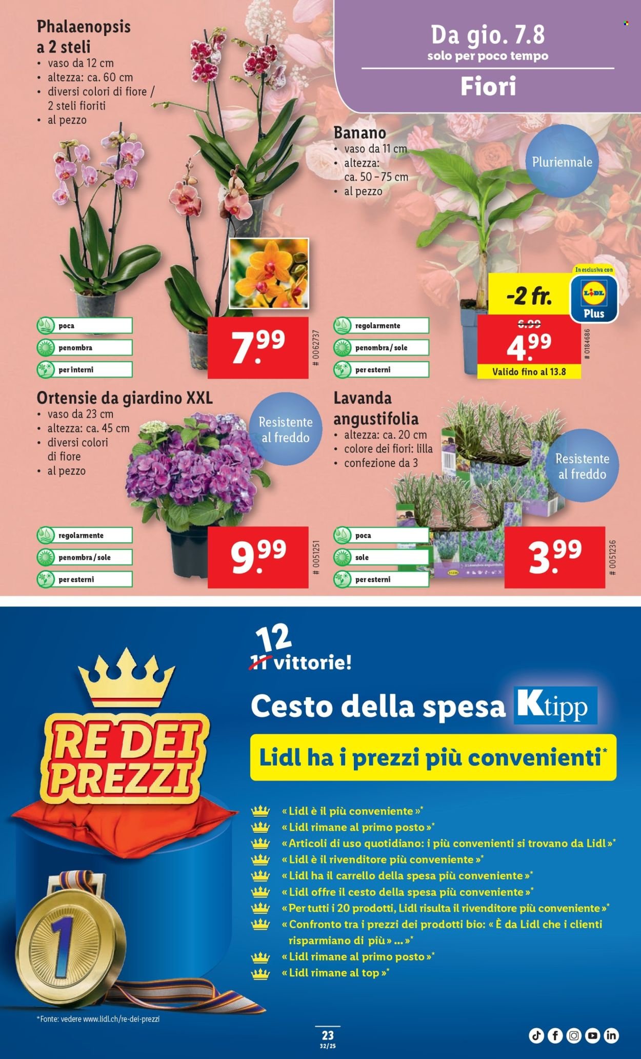 LIDL Prospekt - S 32 (2025-08-07 - 2025-08-13)