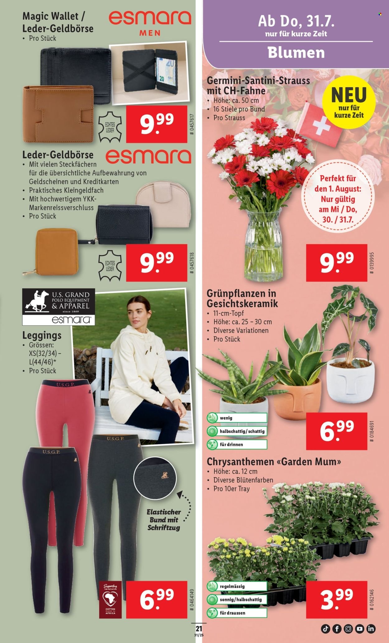 LIDL Prospekt - KW 31 (2025-07-31 - 2025-08-06)