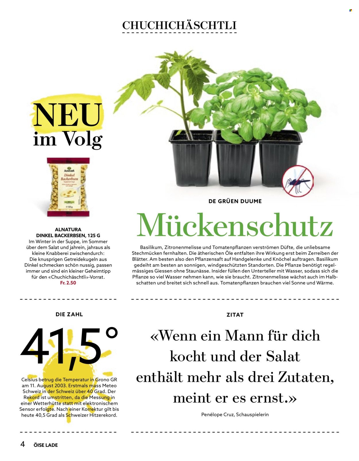 VOLG Prospekt - Vom 1.8.2025 (2025-08-01 - 2025-08-31)