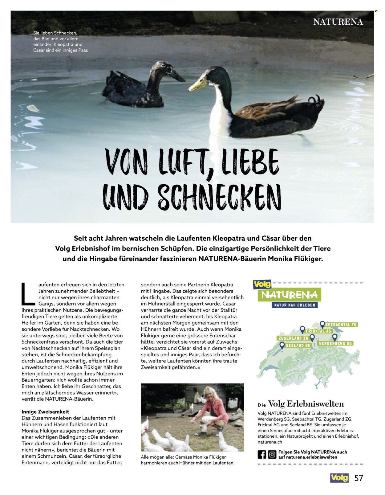 VOLG Prospekt - Vom 1.8.2025 (2025-08-01 - 2025-08-31)