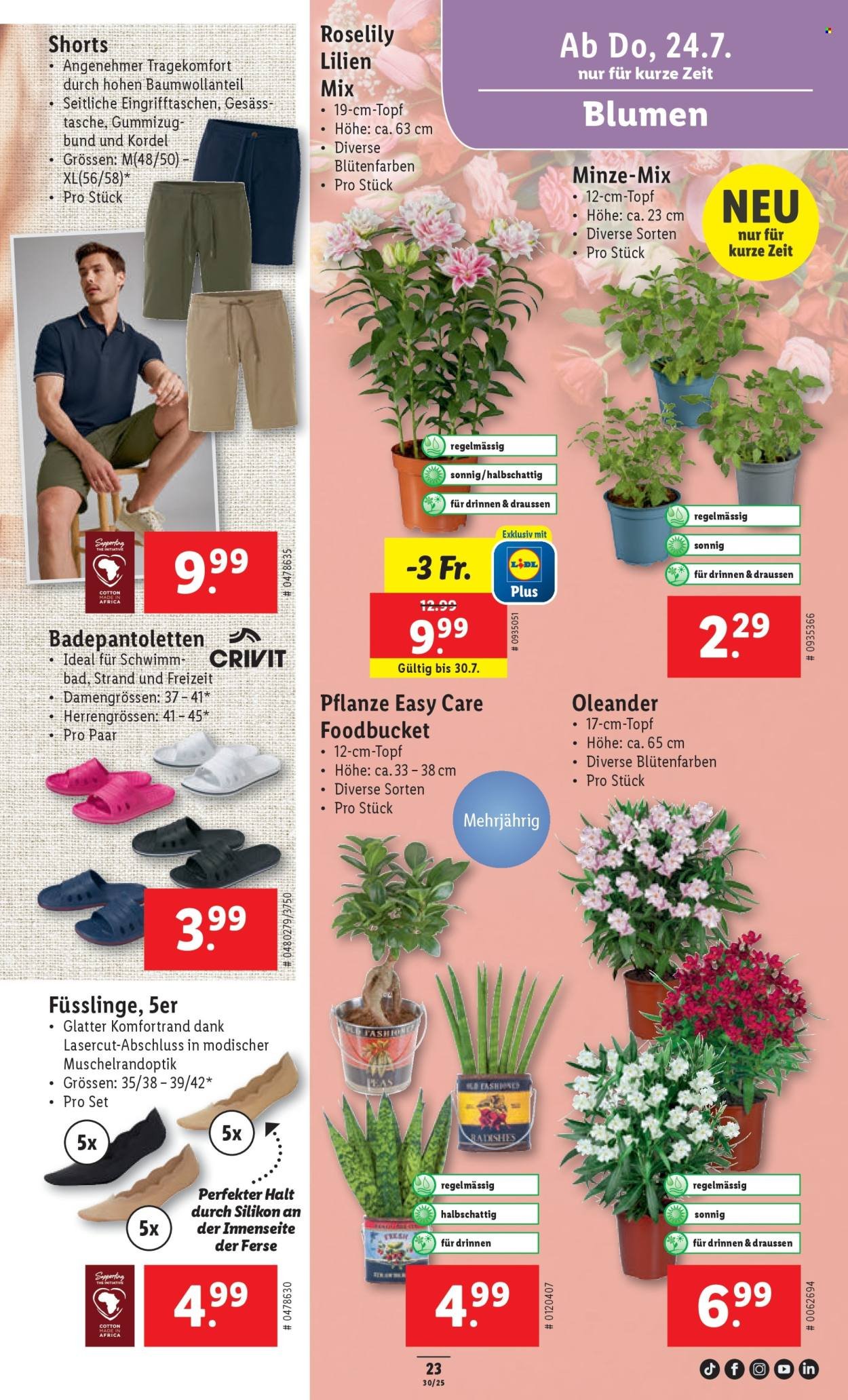 LIDL Prospekt - KW 30 (2025-07-24 - 2025-07-30)