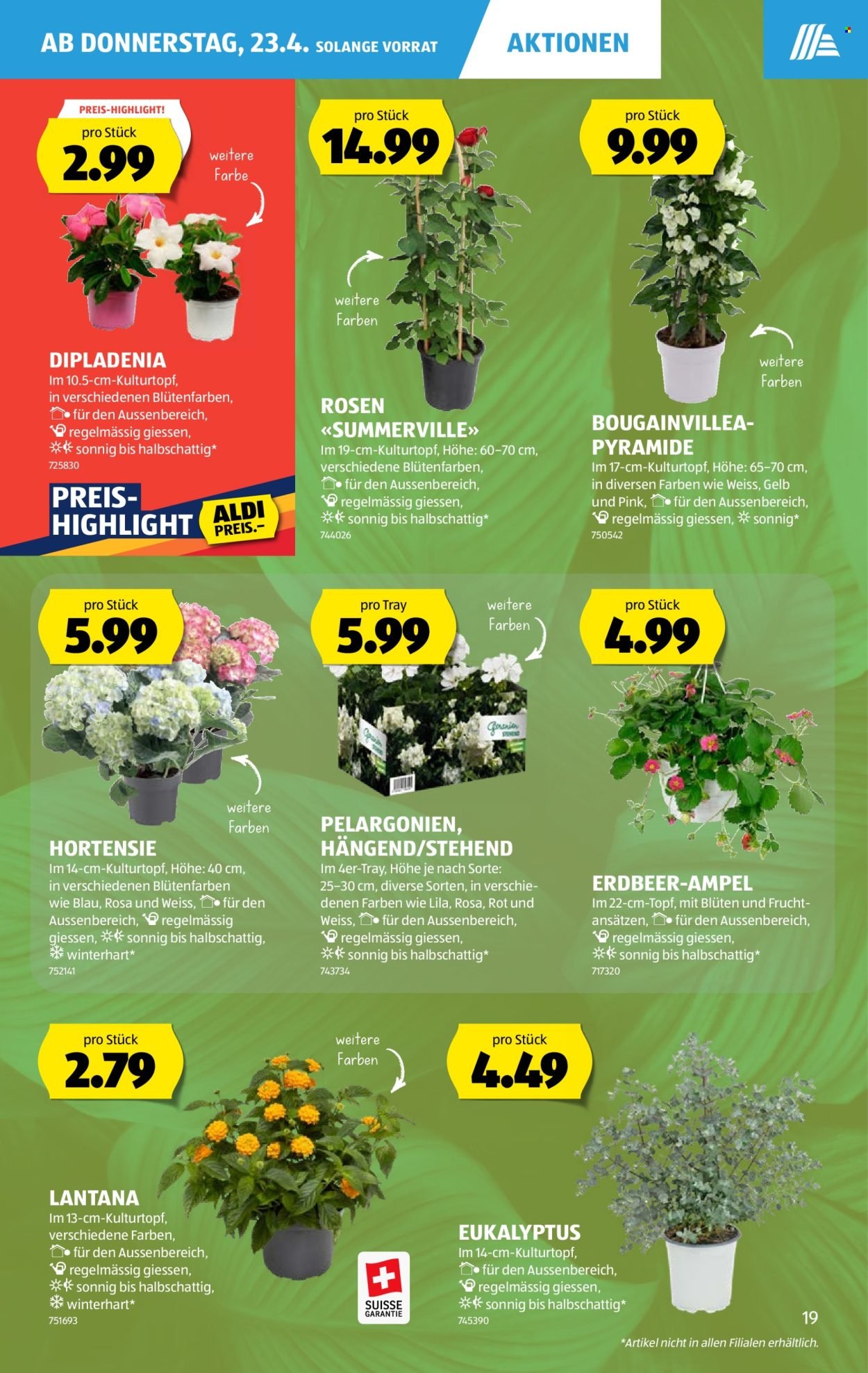 ALDI Prospekt - Vom 23.4.2026 (2026-04-23 - 2026-04-29)