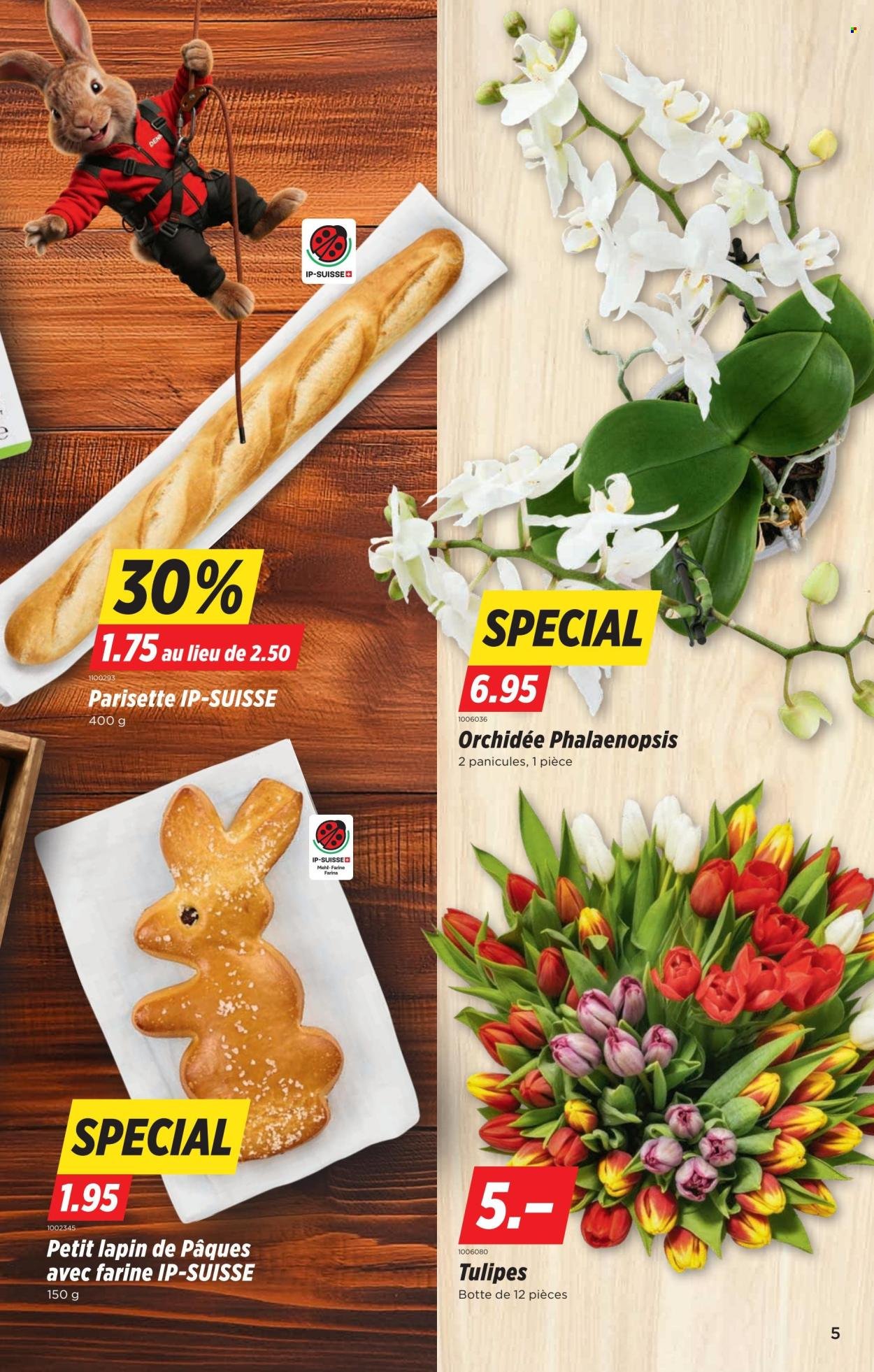 DENNER Prospekt - SETT13 (2026-03-26 - 2026-04-01)