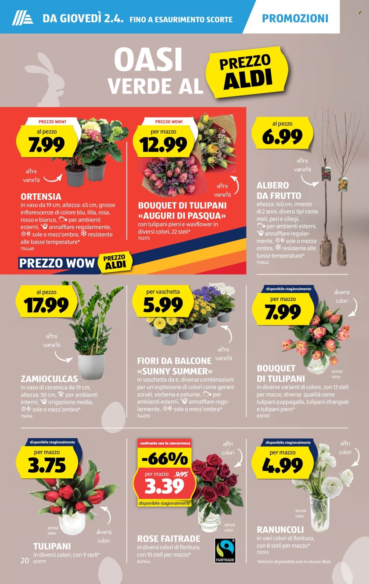 ALDI Prospekt - Vom 2.4.2026 (2026-04-02 - 2026-04-08)