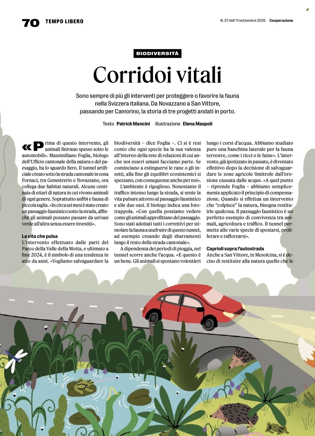 COOP Prospekt - COPERAZIONE (2025-09-11 - 2025-09-17)