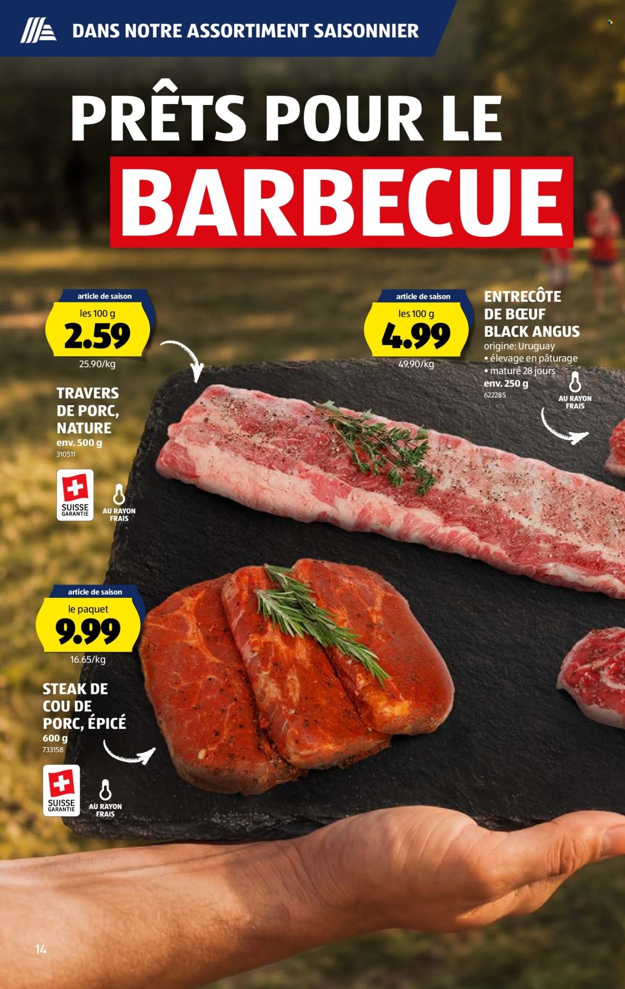 ALDI Prospekt - Vom 11.6.2026