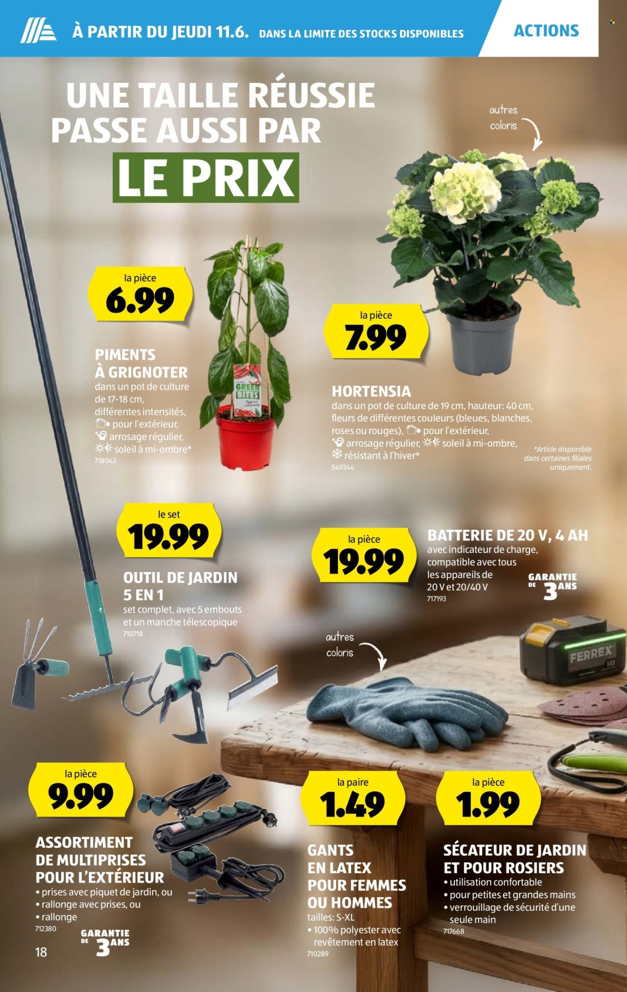 ALDI Prospekt - Vom 11.6.2026