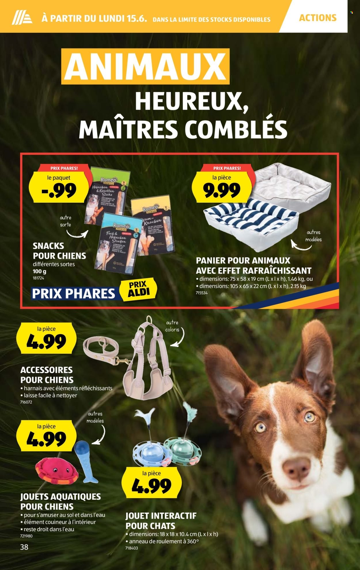 ALDI Prospekt - Vom 11.6.2026