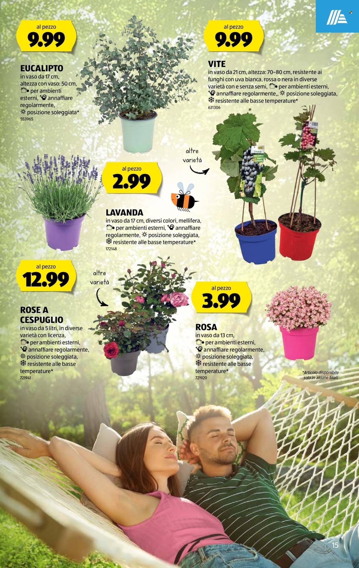 ALDI Prospekt - Vom 18.6.2026