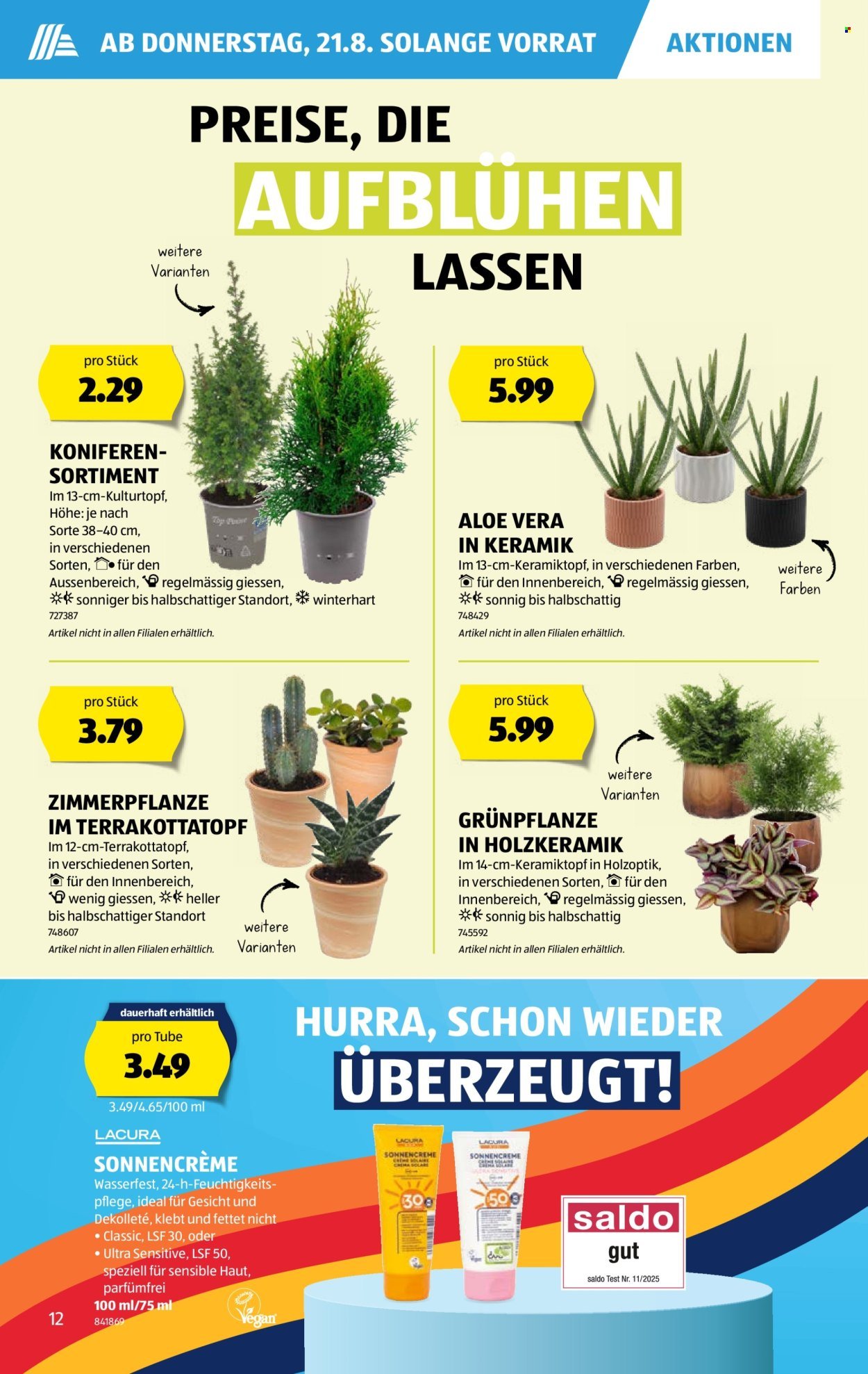 ALDI Prospekt - KW 34 (2025-08-21 - 2025-08-27)