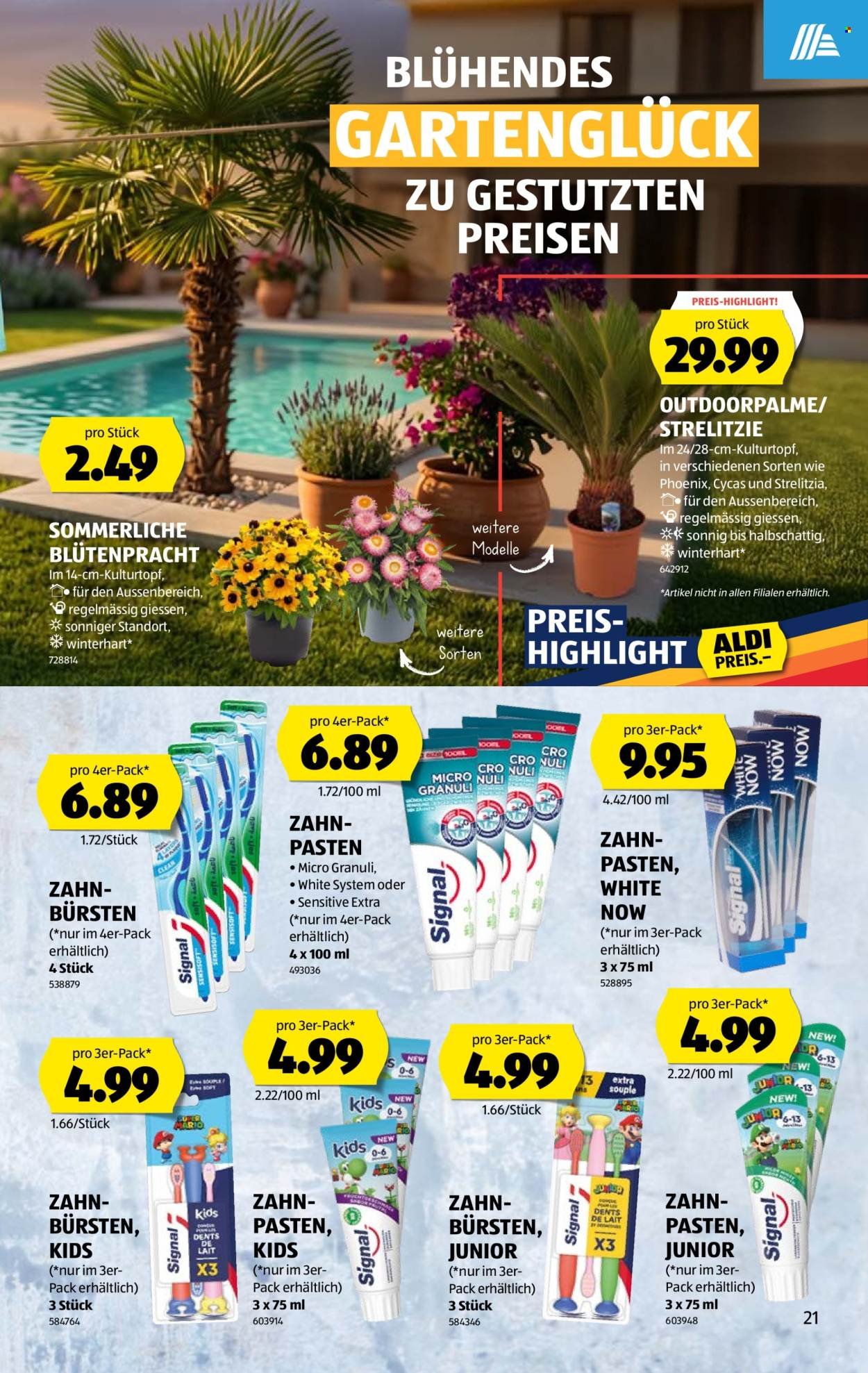 ALDI Prospekt - Vom 25.6.2026