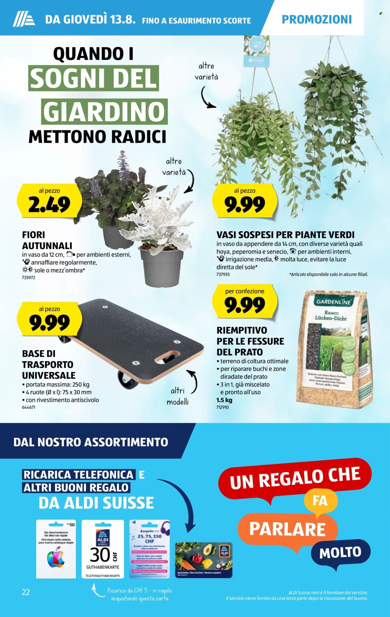 ALDI Prospekt - Vom 13.8.2026