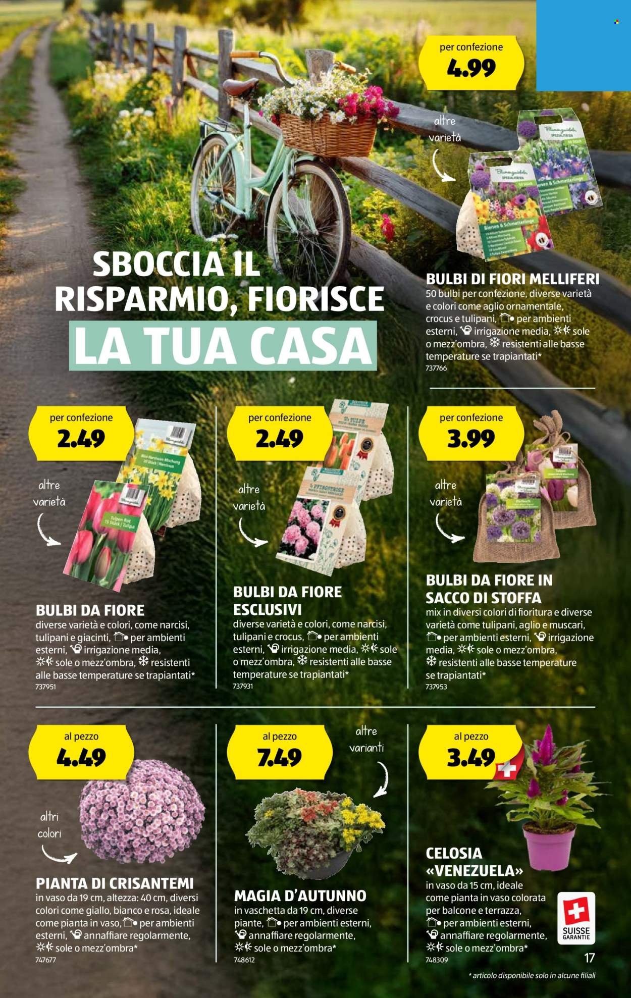 ALDI Prospekt - Vom 4.9.2025 (2025-09-04 - 2025-09-10)