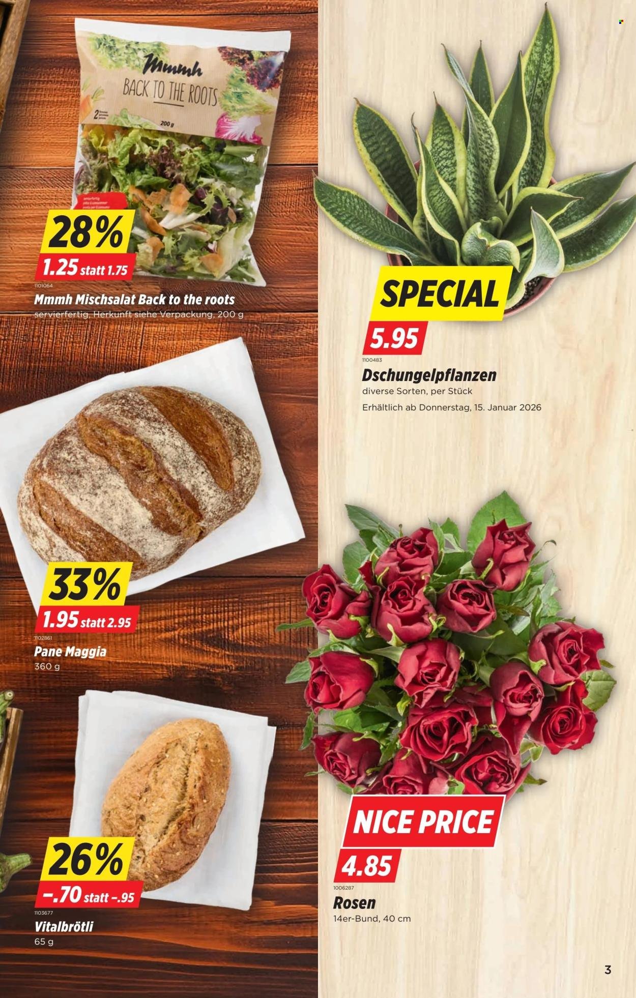 DENNER Prospekt - KW 03 (2026-01-13 - 2026-01-19) | 3