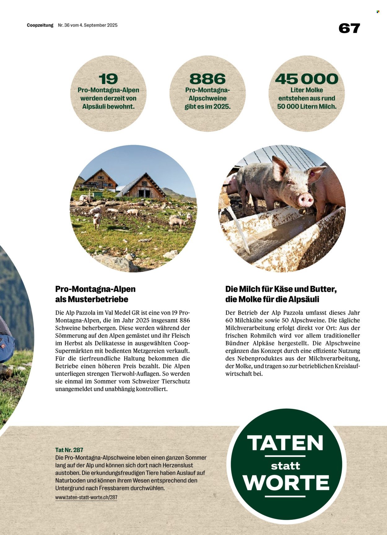 COOP Prospekt - COOPZEITUNG (2025-09-04 - 2025-09-10)