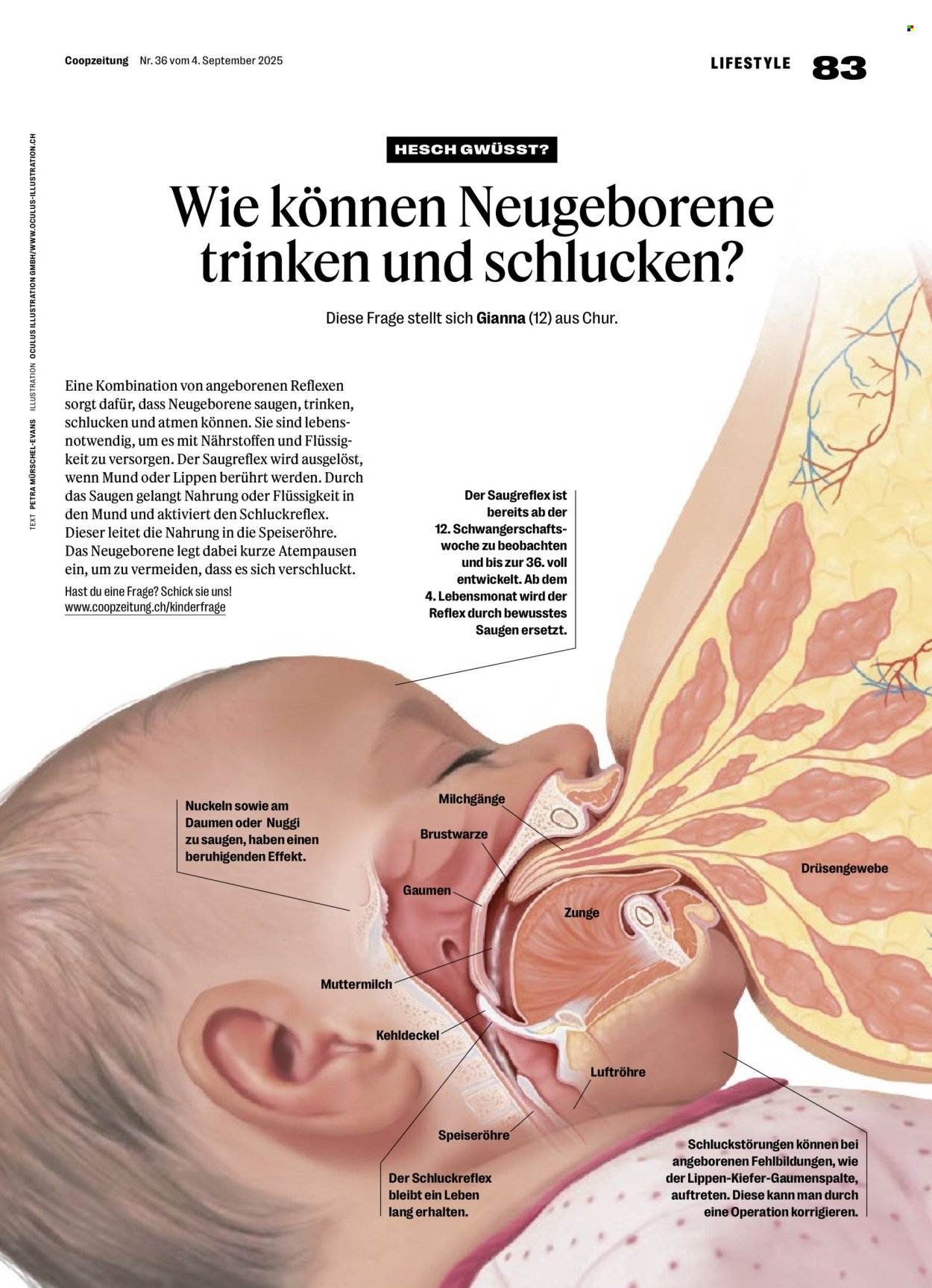 COOP Prospekt - COOPZEITUNG (2025-09-04 - 2025-09-10)