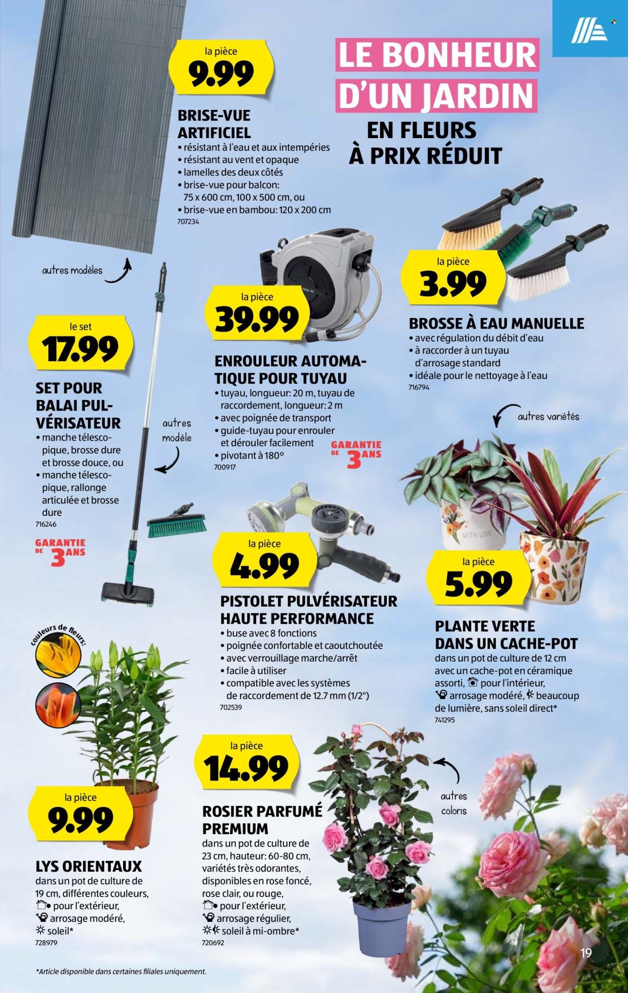 ALDI Prospekt - Vom 4.6.2026